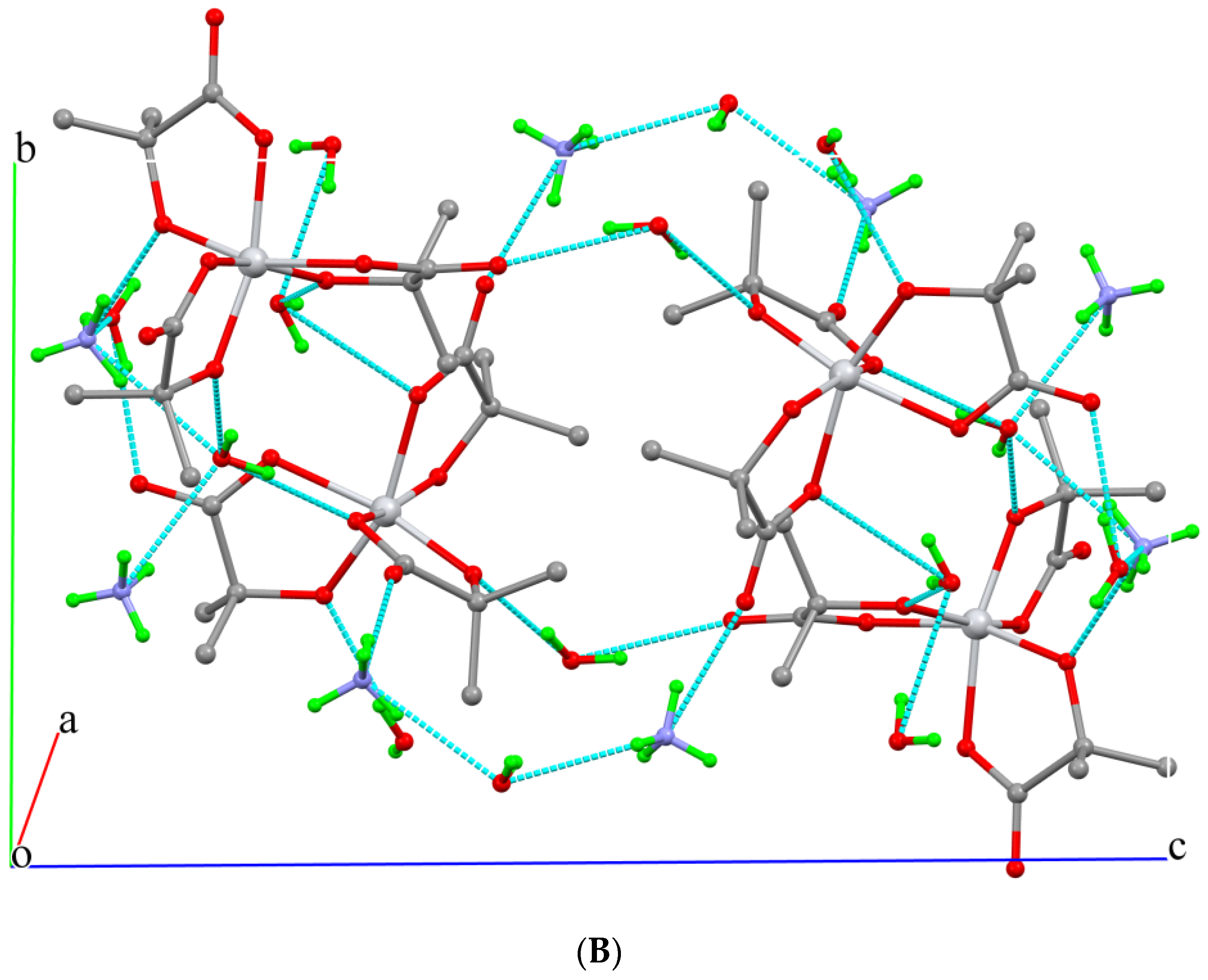 Ijms 24 11865 g001b Ijms 24 11865 g001b