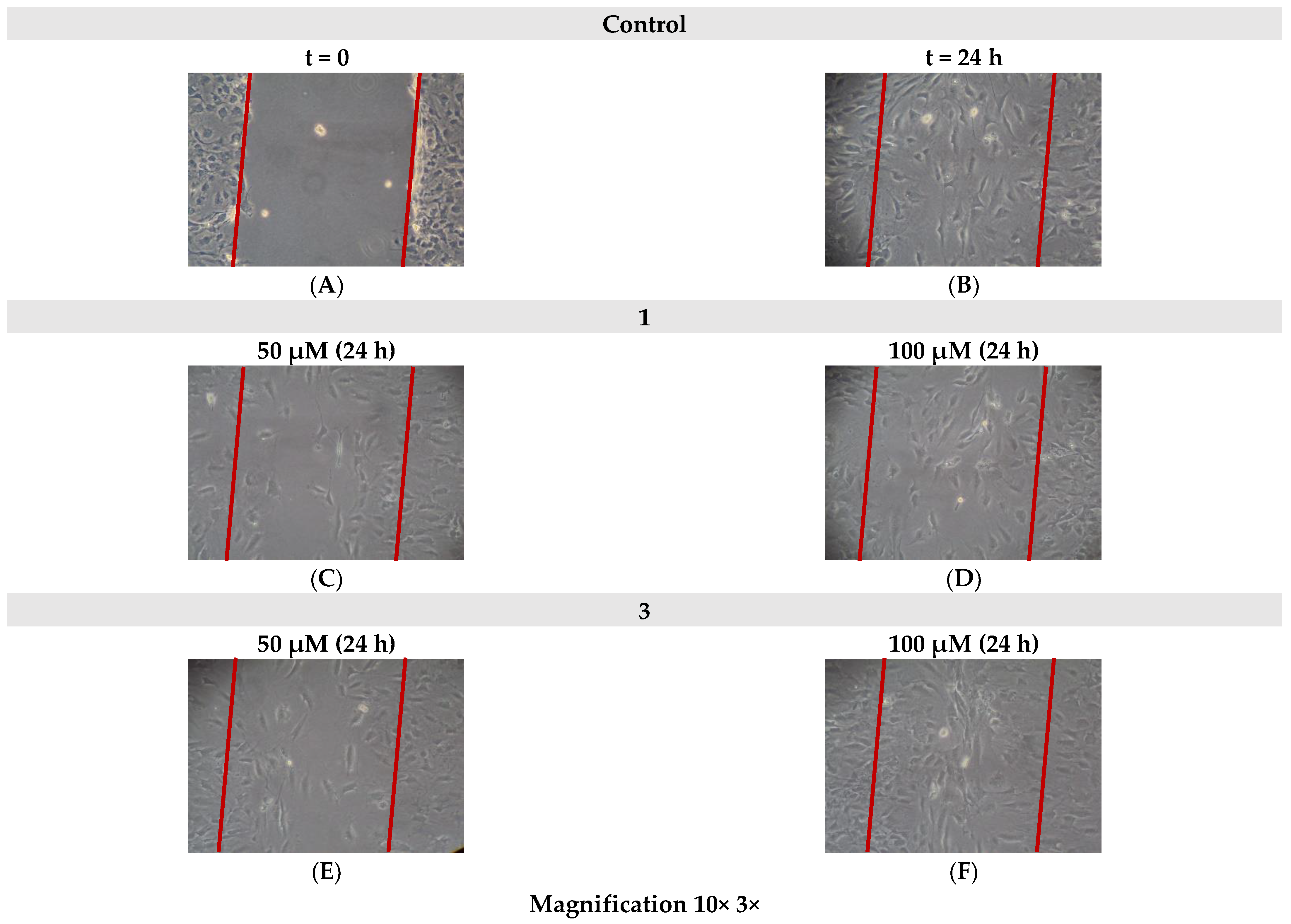 Ijms 24 11865 g008 Ijms 24 11865 g008