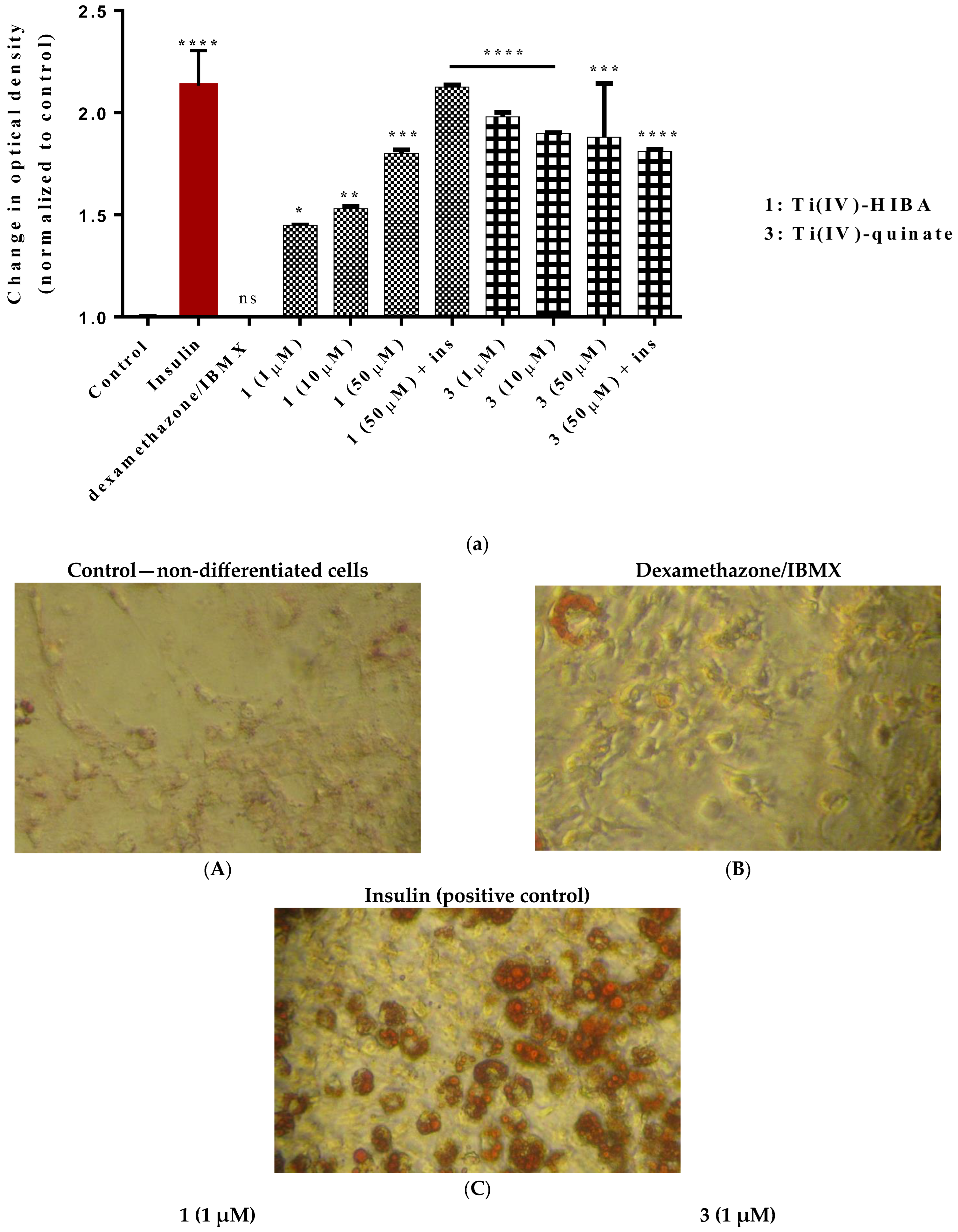 Ijms 24 11865 g009a Ijms 24 11865 g009a