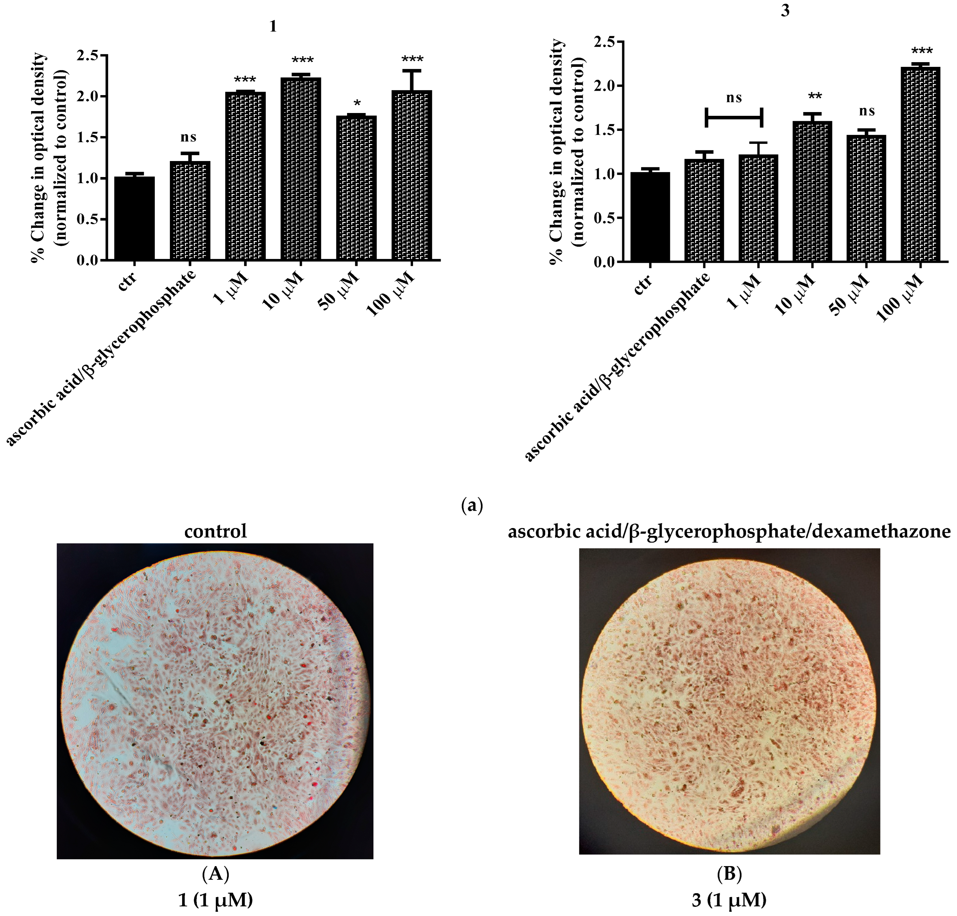 Ijms 24 11865 g010a Ijms 24 11865 g010a