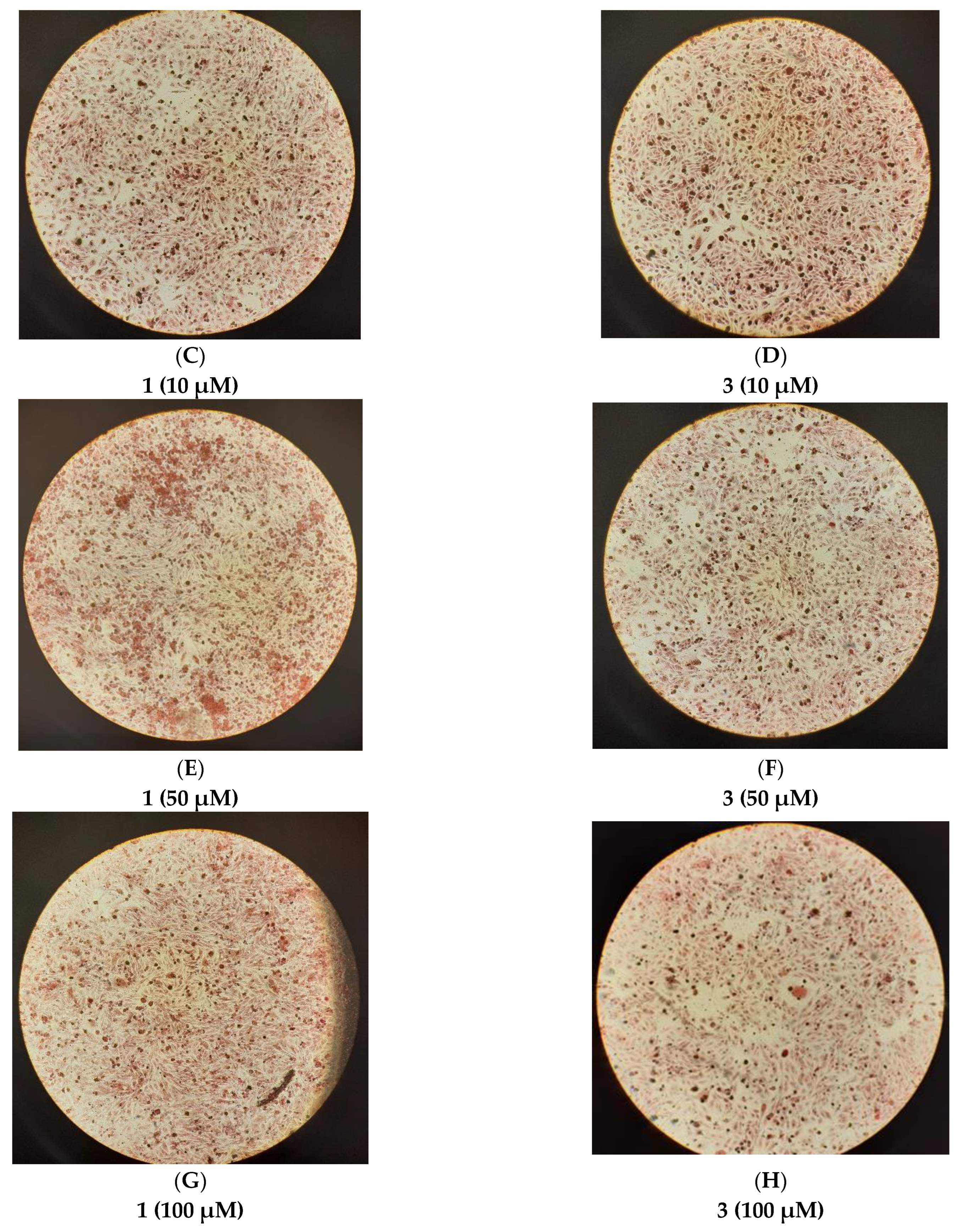 Ijms 24 11865 g010b Ijms 24 11865 g010b