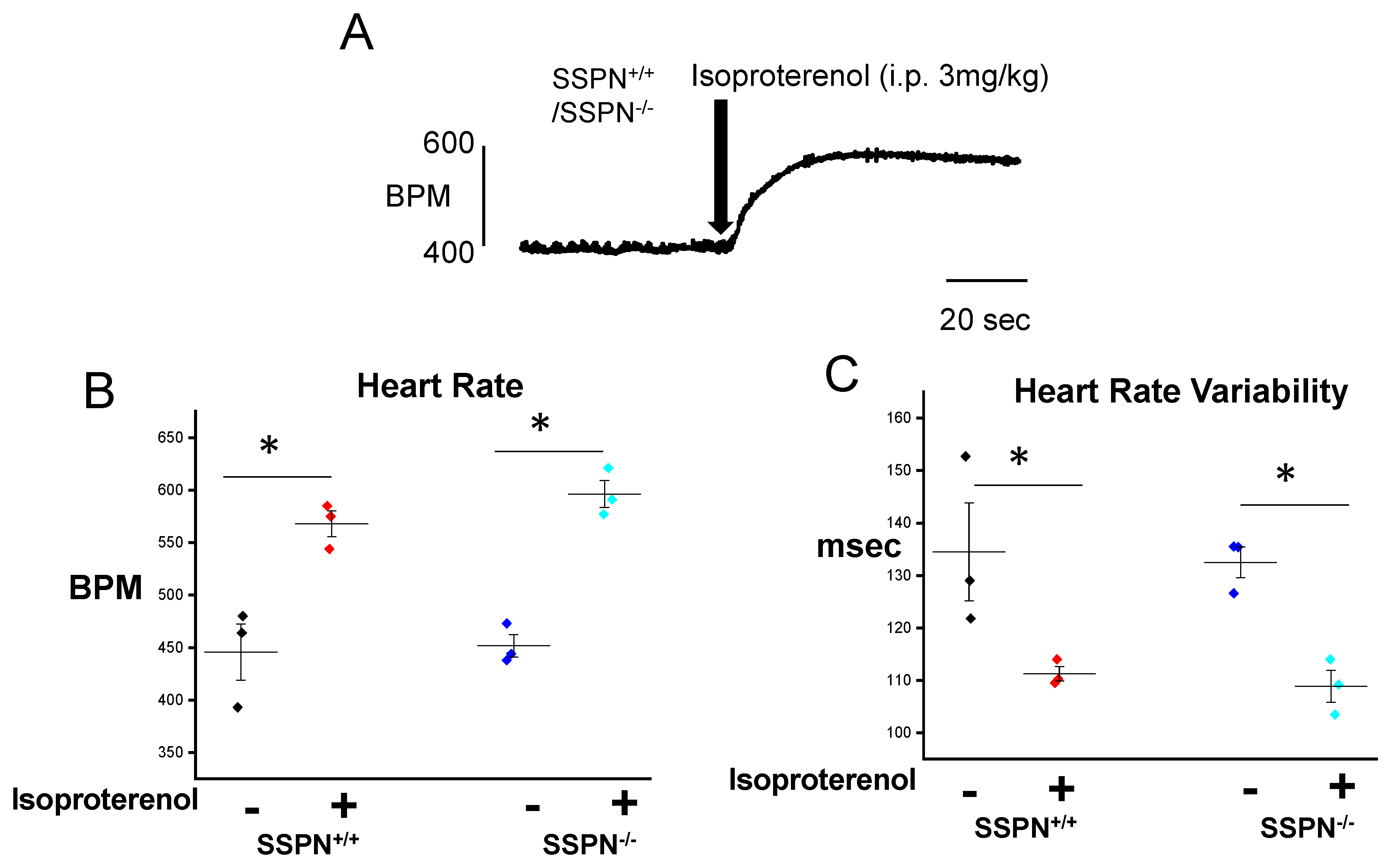 Ijms 24 11868 g001 Ijms 24 11868 g001