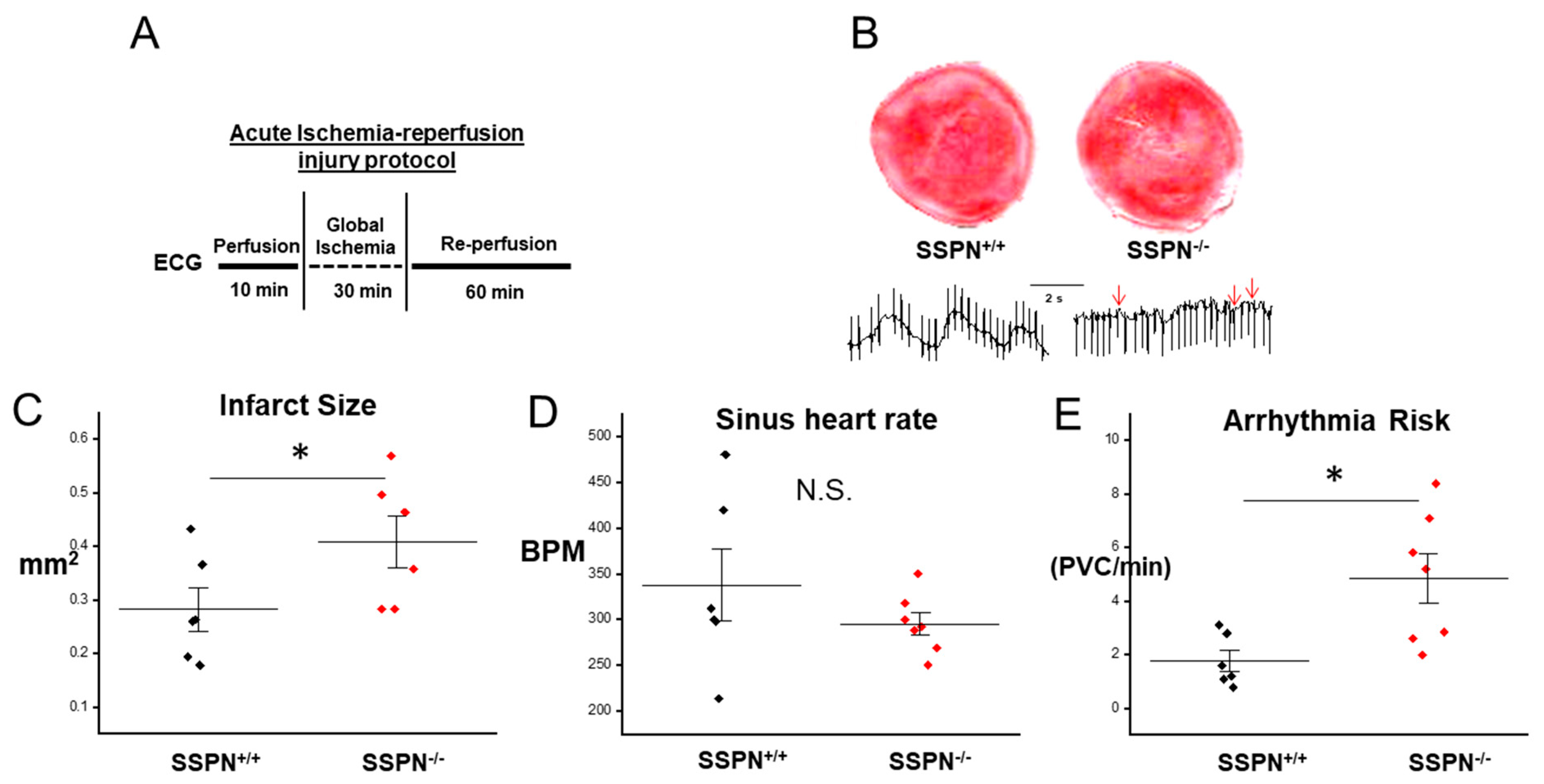 Ijms 24 11868 g002 Ijms 24 11868 g002