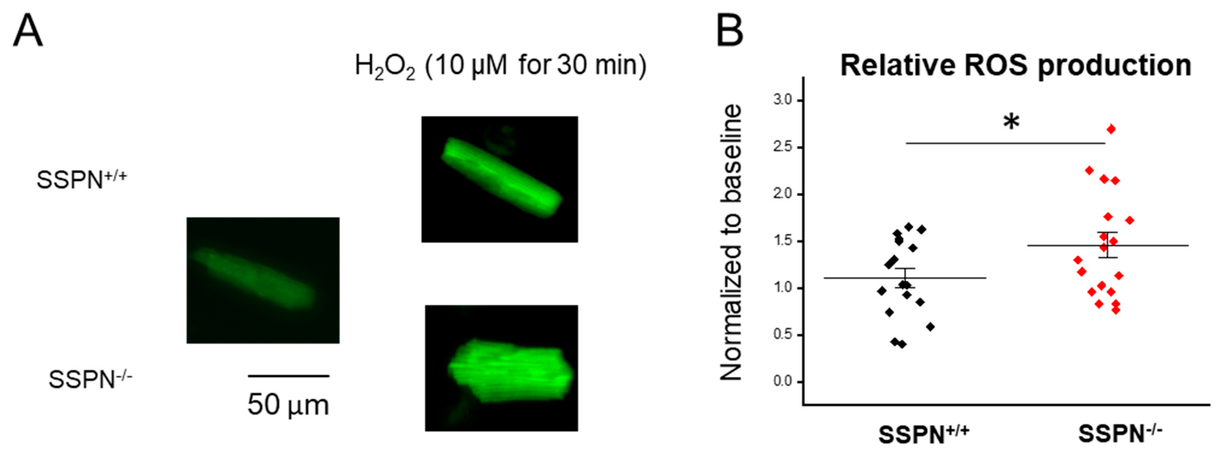 Ijms 24 11868 g005 Ijms 24 11868 g005