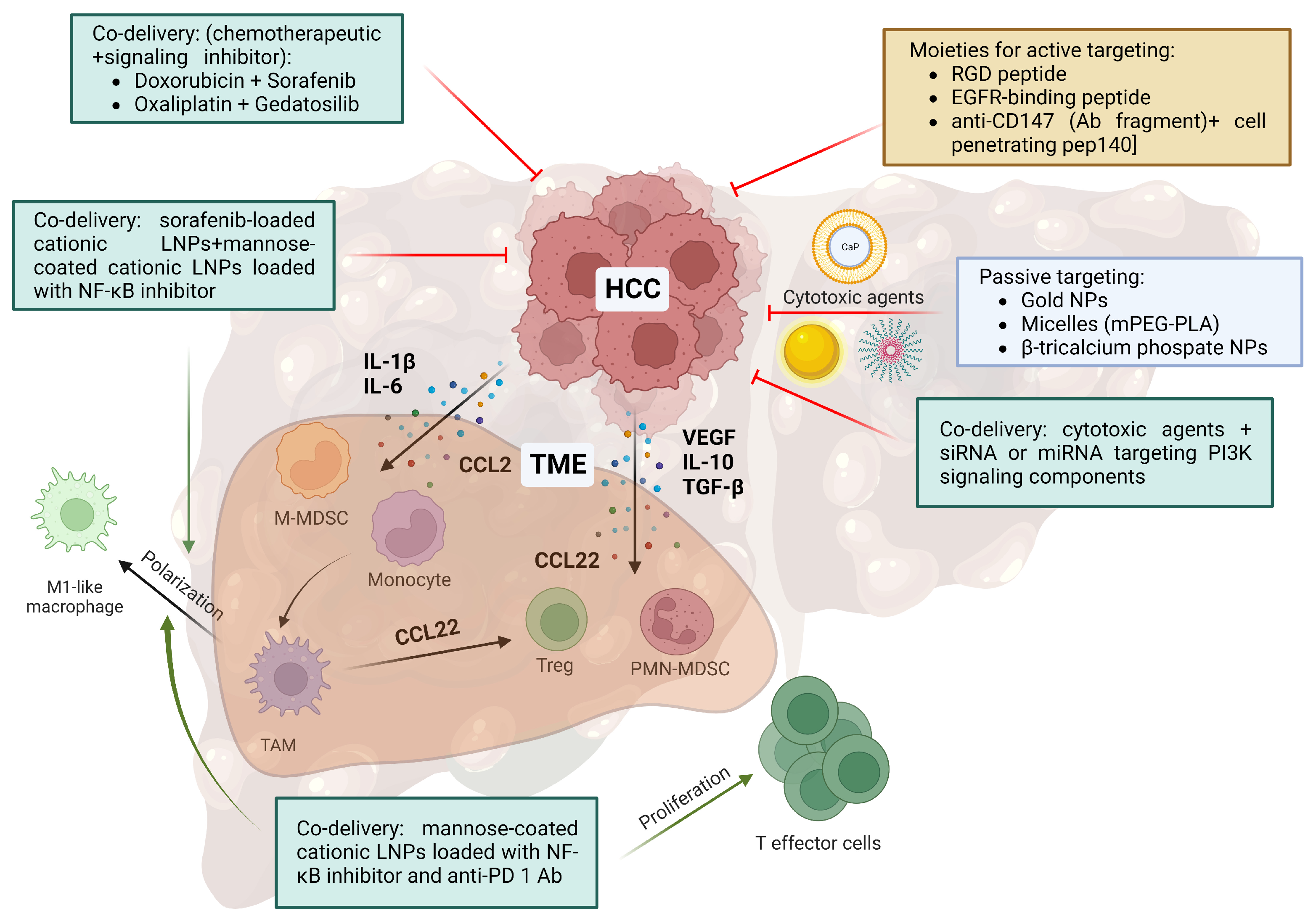 Ijms 24 11869 g002 Ijms 24 11869 g002