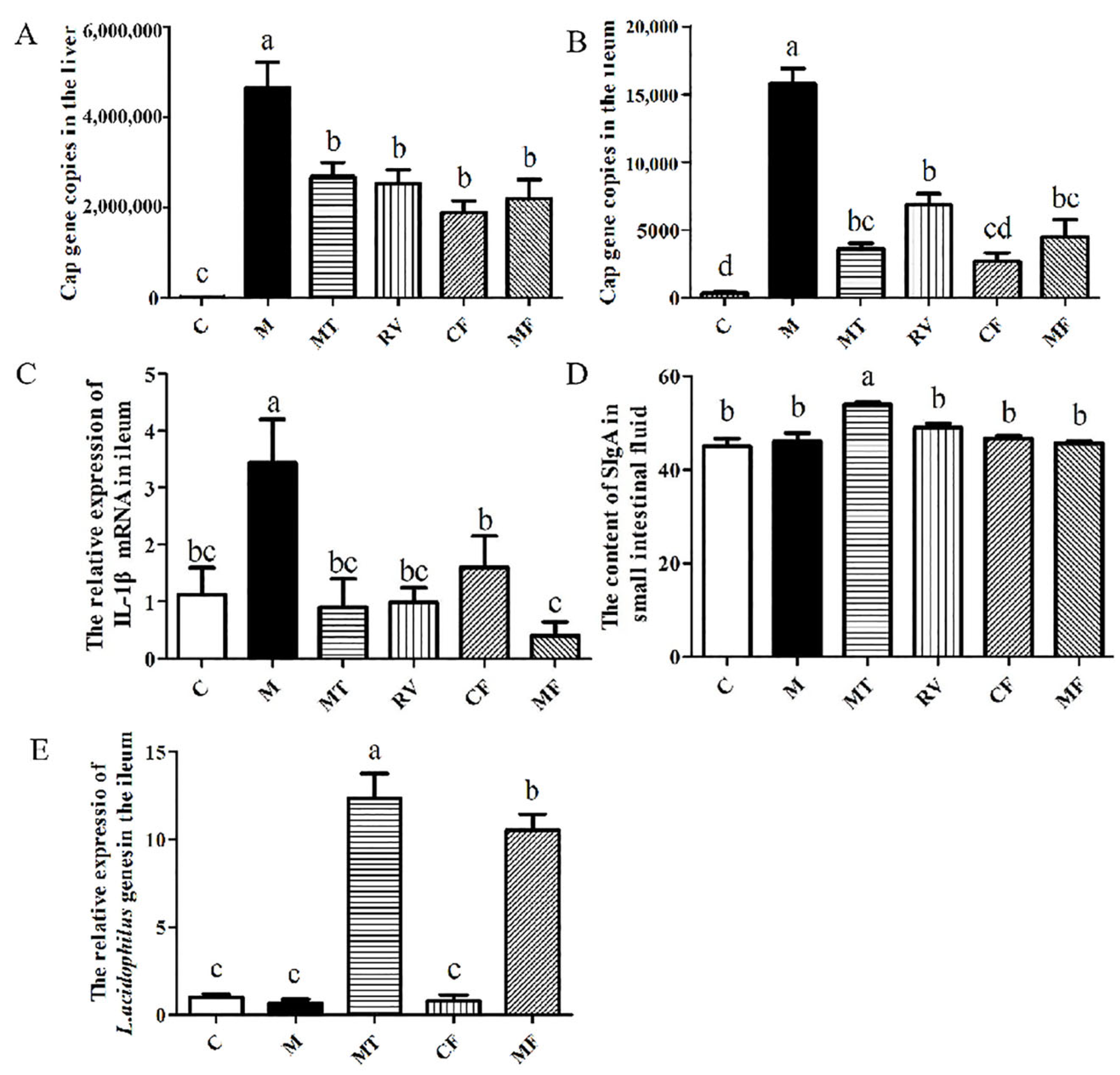 Ijms 24 11878 g001 Ijms 24 11878 g001