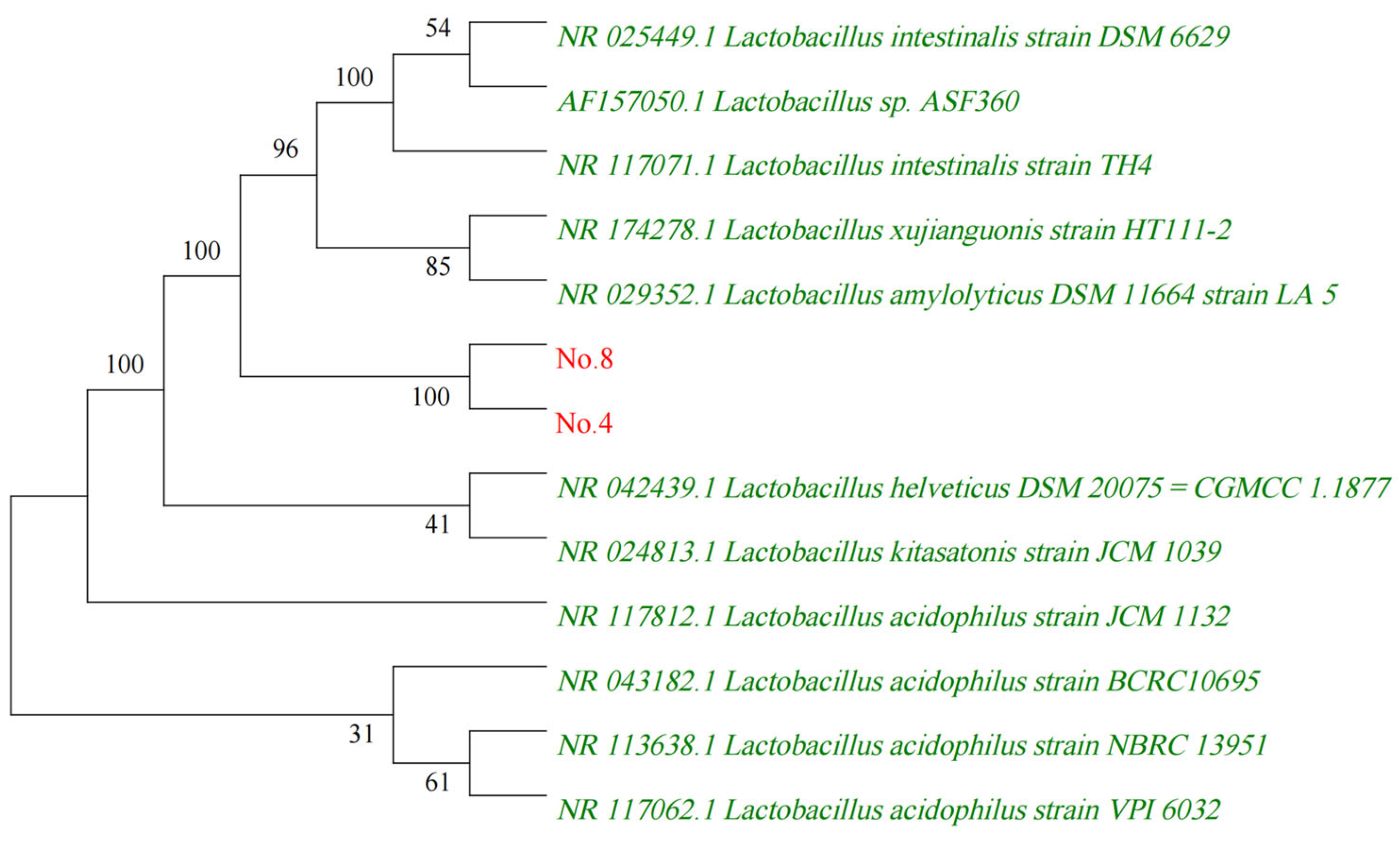 Ijms 24 11878 g003 Ijms 24 11878 g003