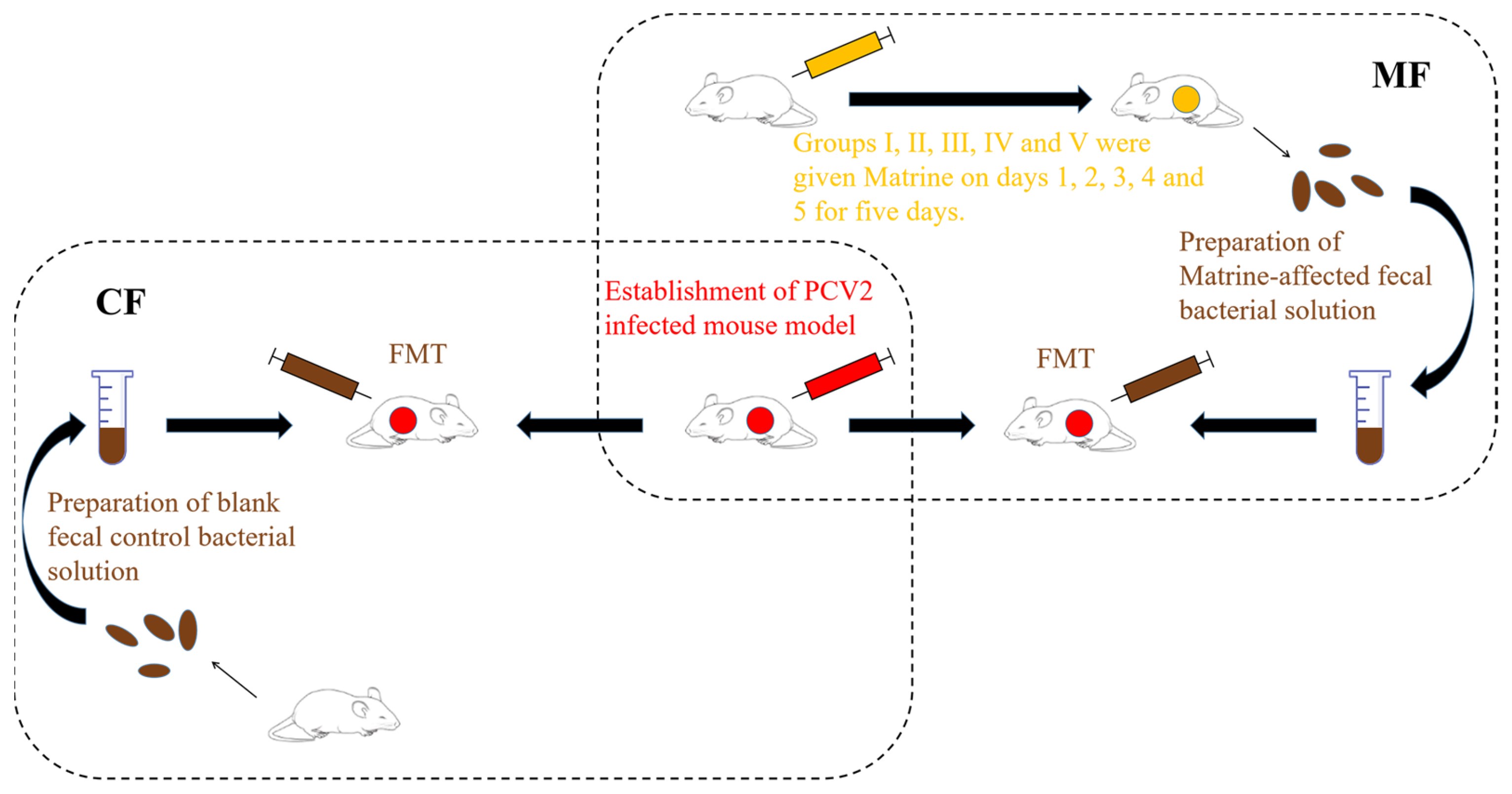 Ijms 24 11878 g008 Ijms 24 11878 g008