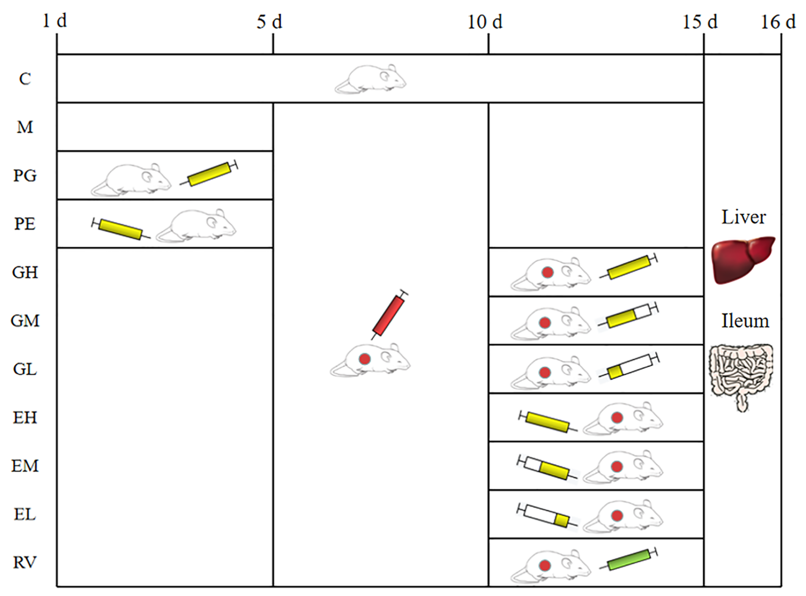 Ijms 24 11878 g009 Ijms 24 11878 g009