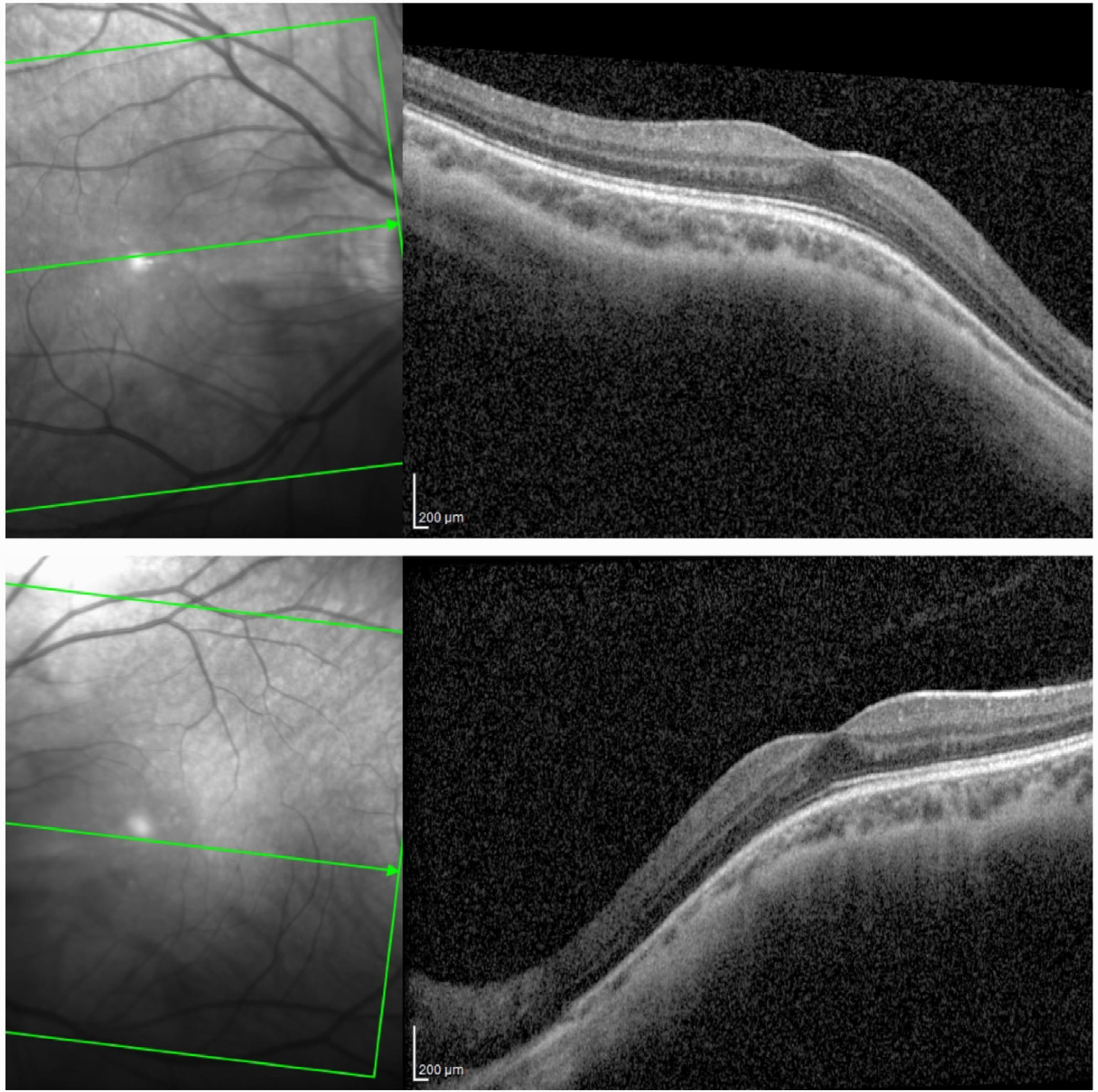 Ijms 24 11889 g001 Ijms 24 11889 g001