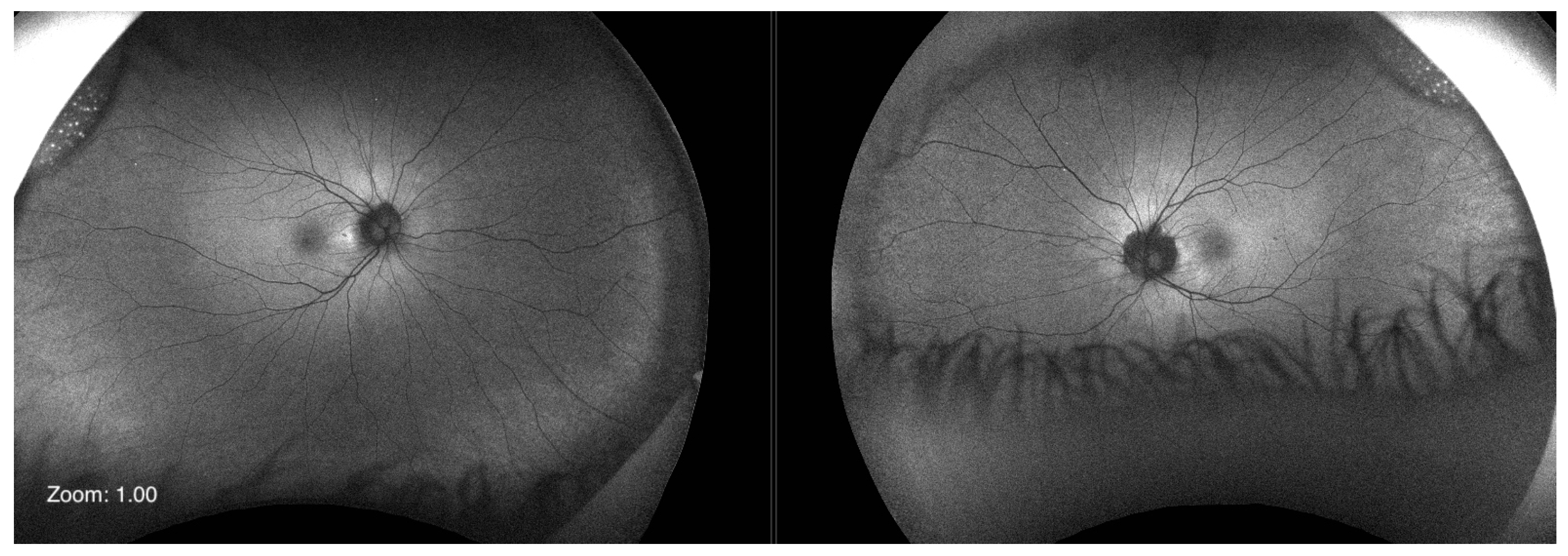 Ijms 24 11889 g003 Ijms 24 11889 g003