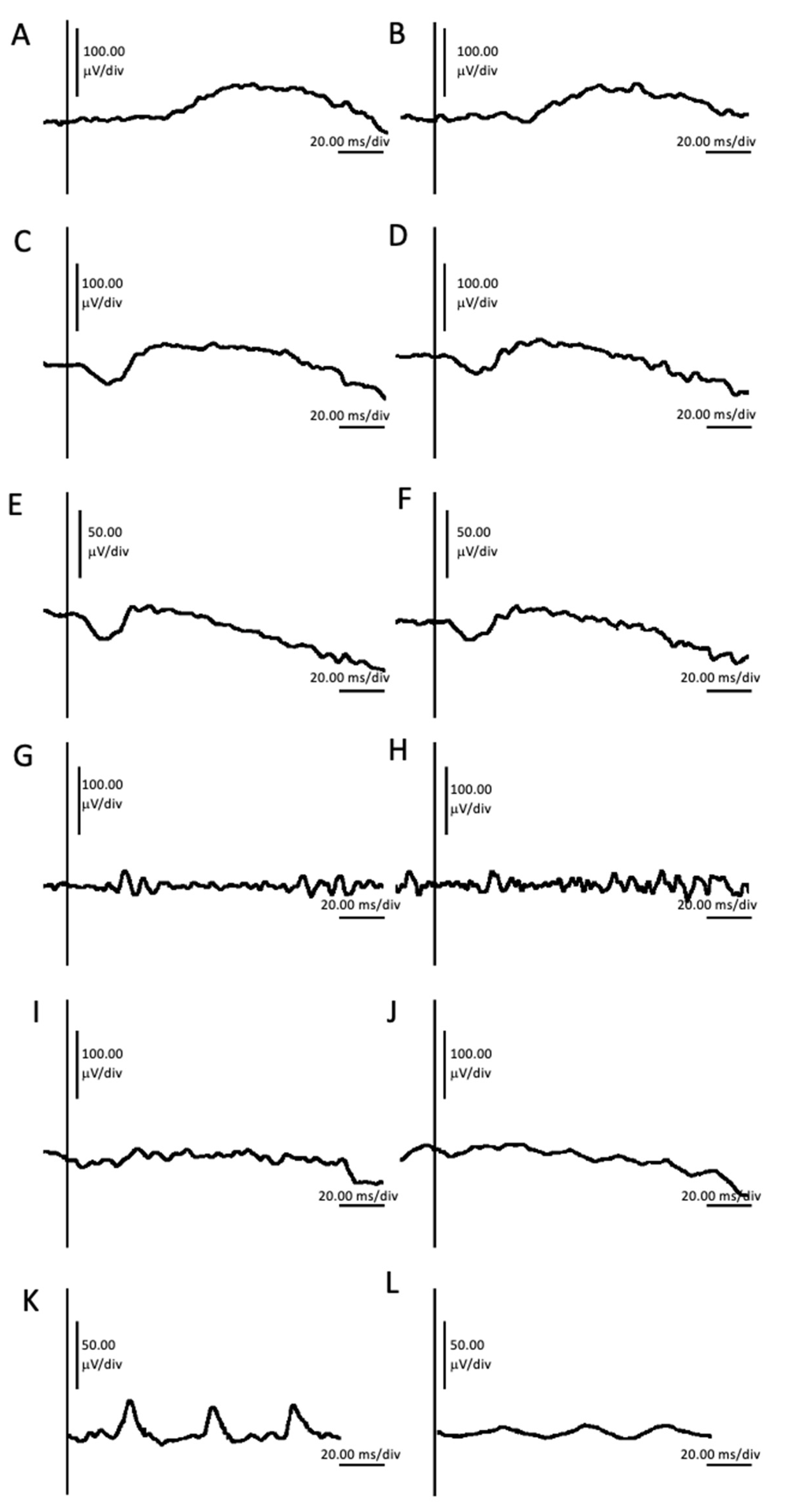 Ijms 24 11889 g005 Ijms 24 11889 g005