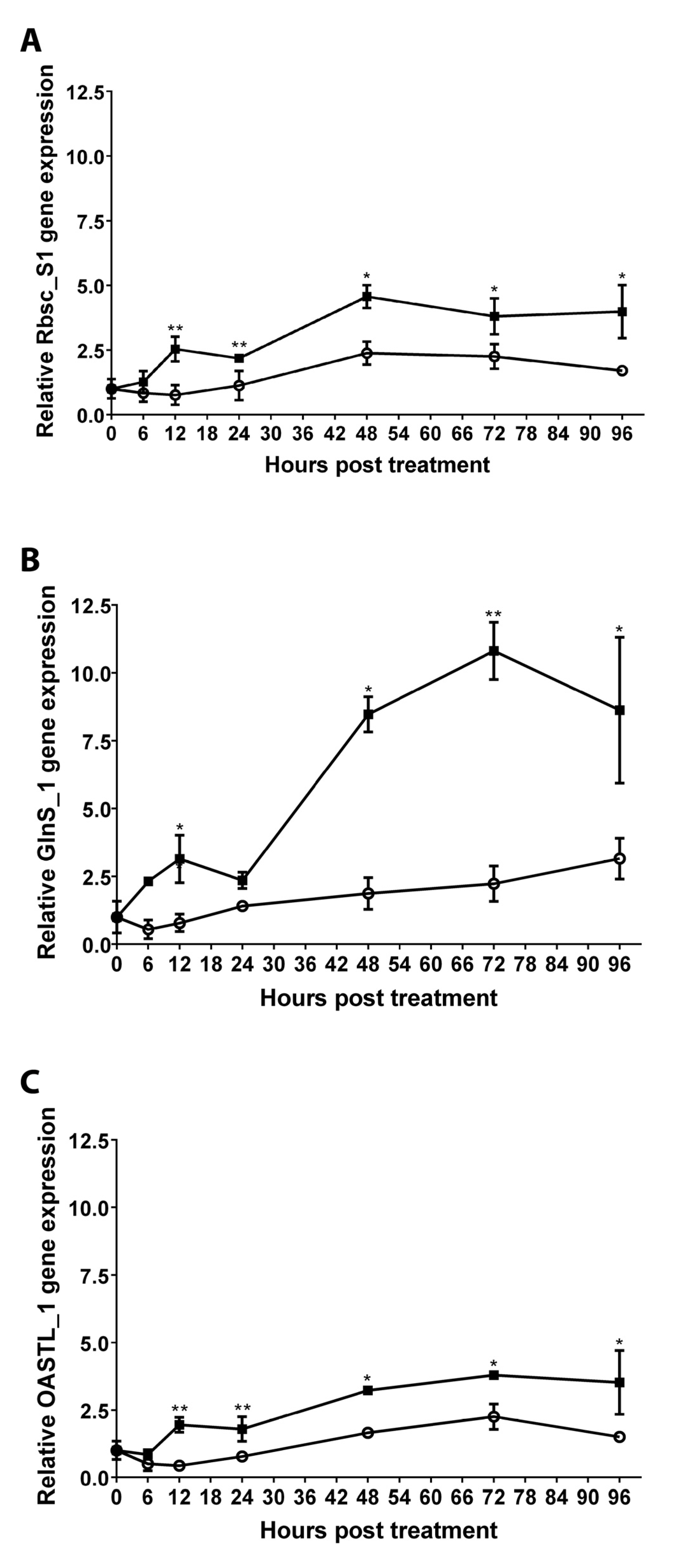 Ijms 24 11894 g004 Ijms 24 11894 g004