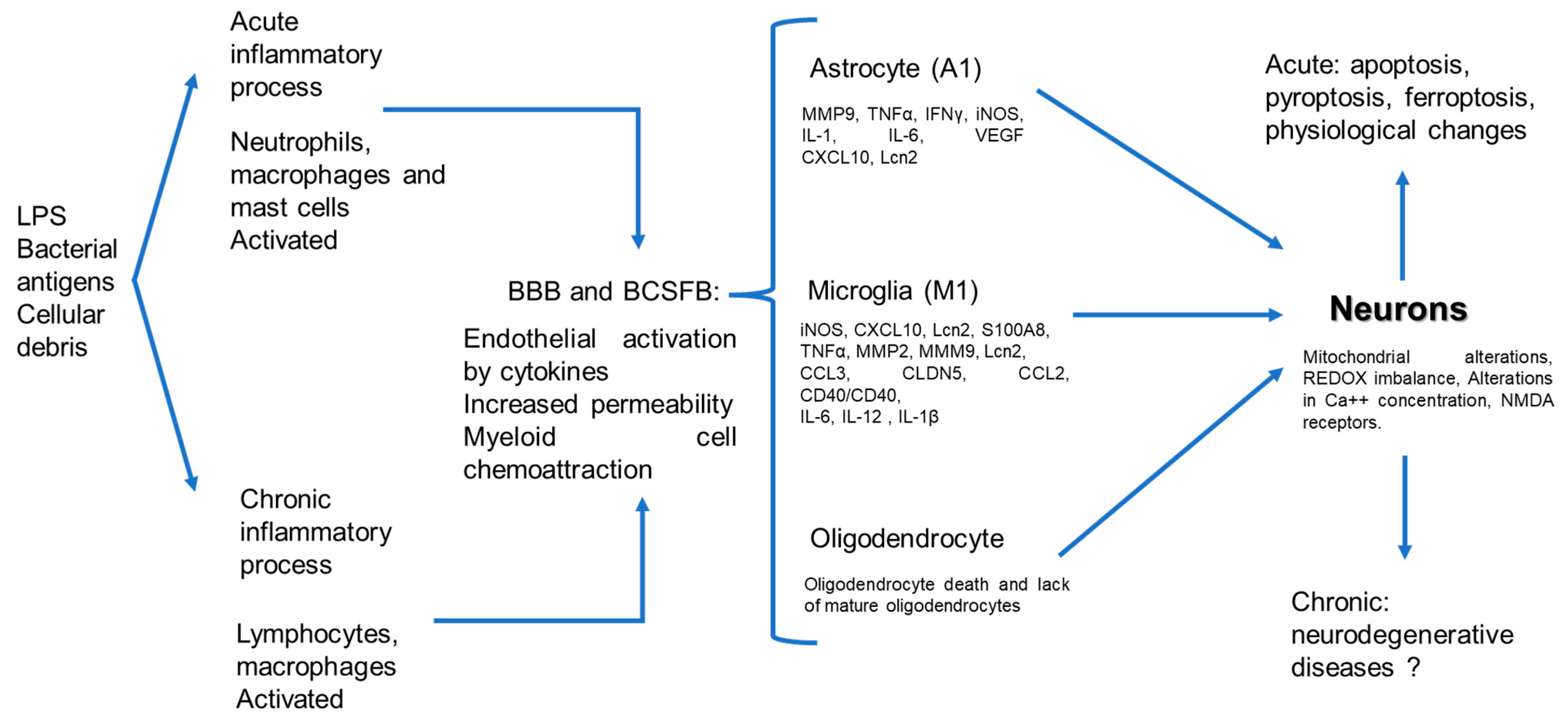 Ijms 24 11902 g001 Ijms 24 11902 g001