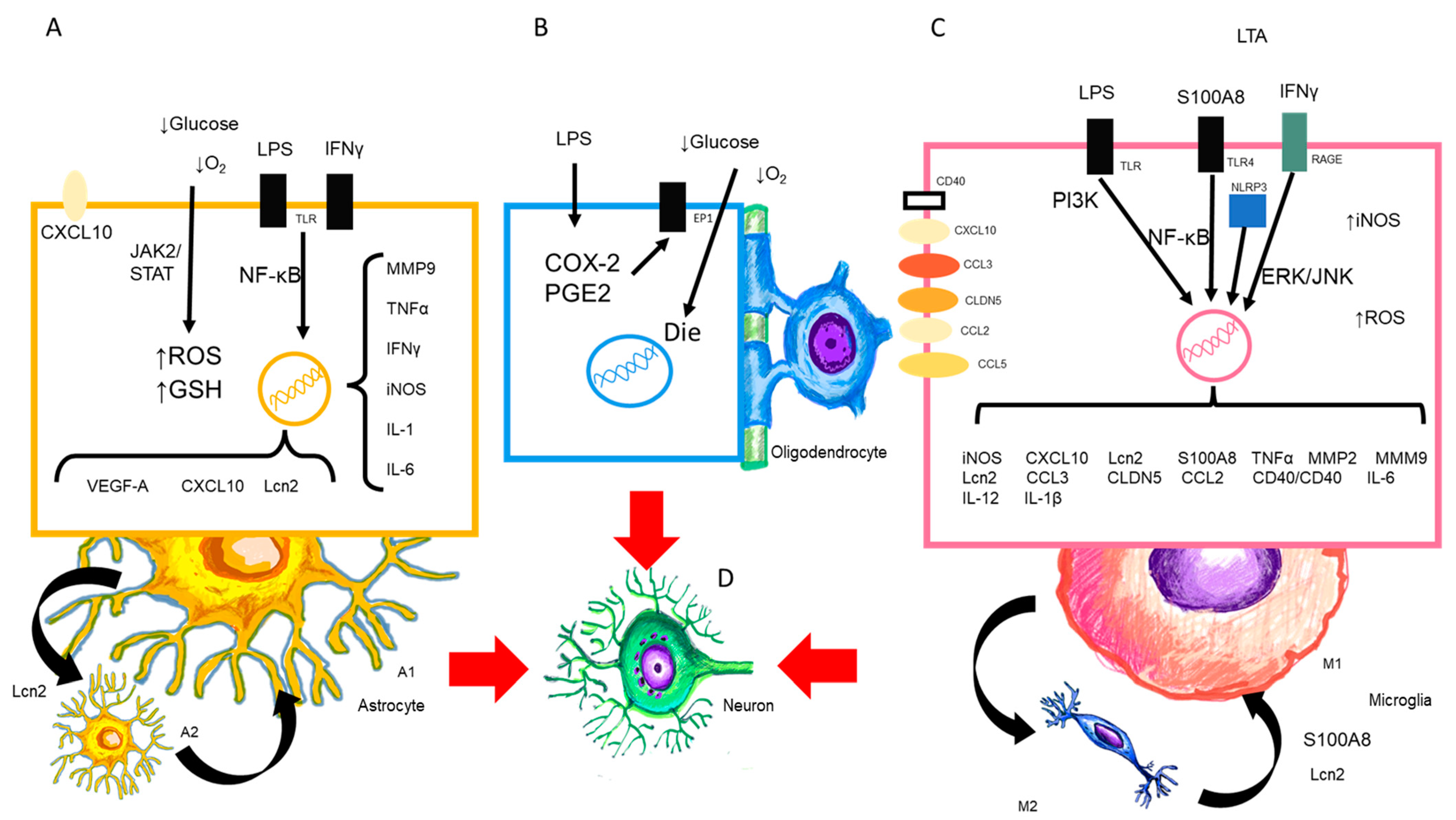 Ijms 24 11902 g003 Ijms 24 11902 g003