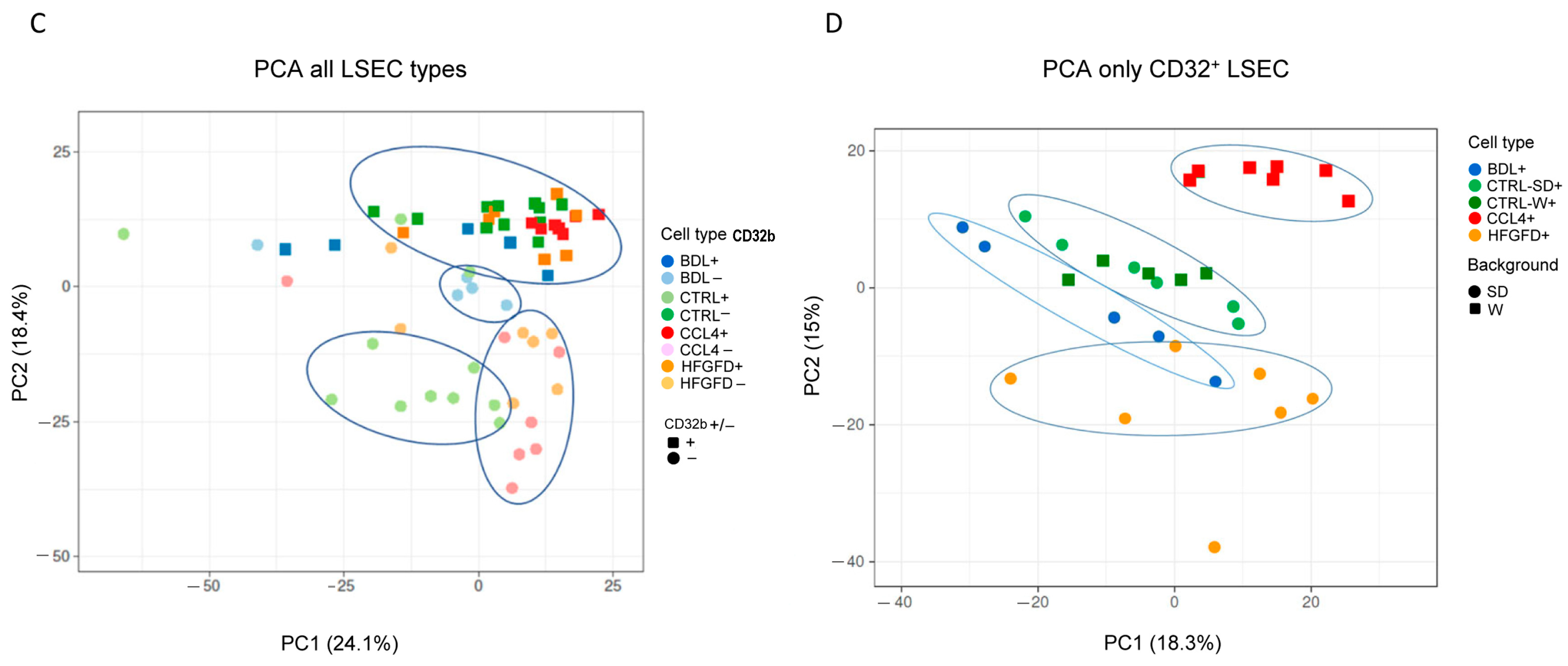 Ijms 24 11904 g001b Ijms 24 11904 g001b