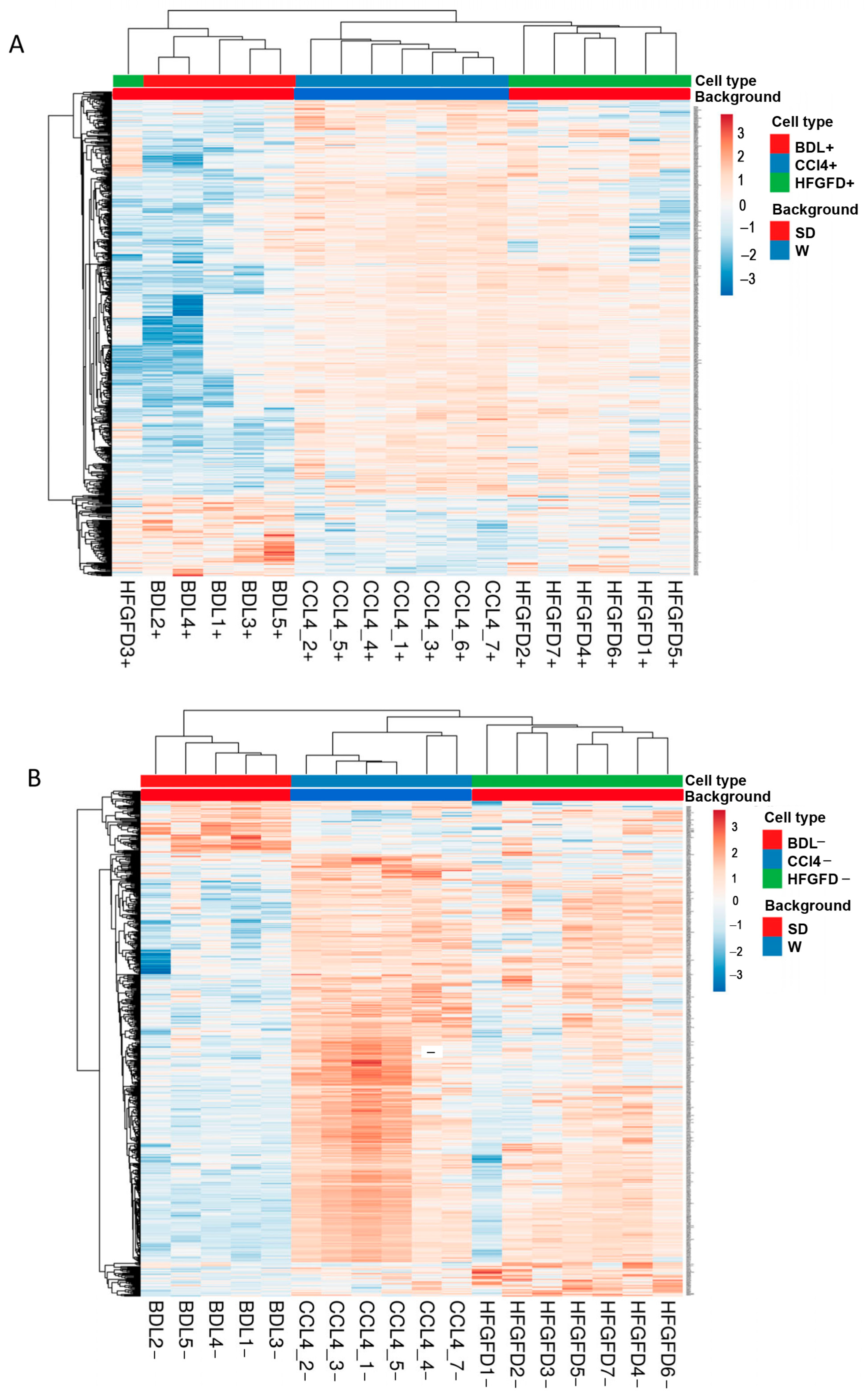 Ijms 24 11904 g002 Ijms 24 11904 g002