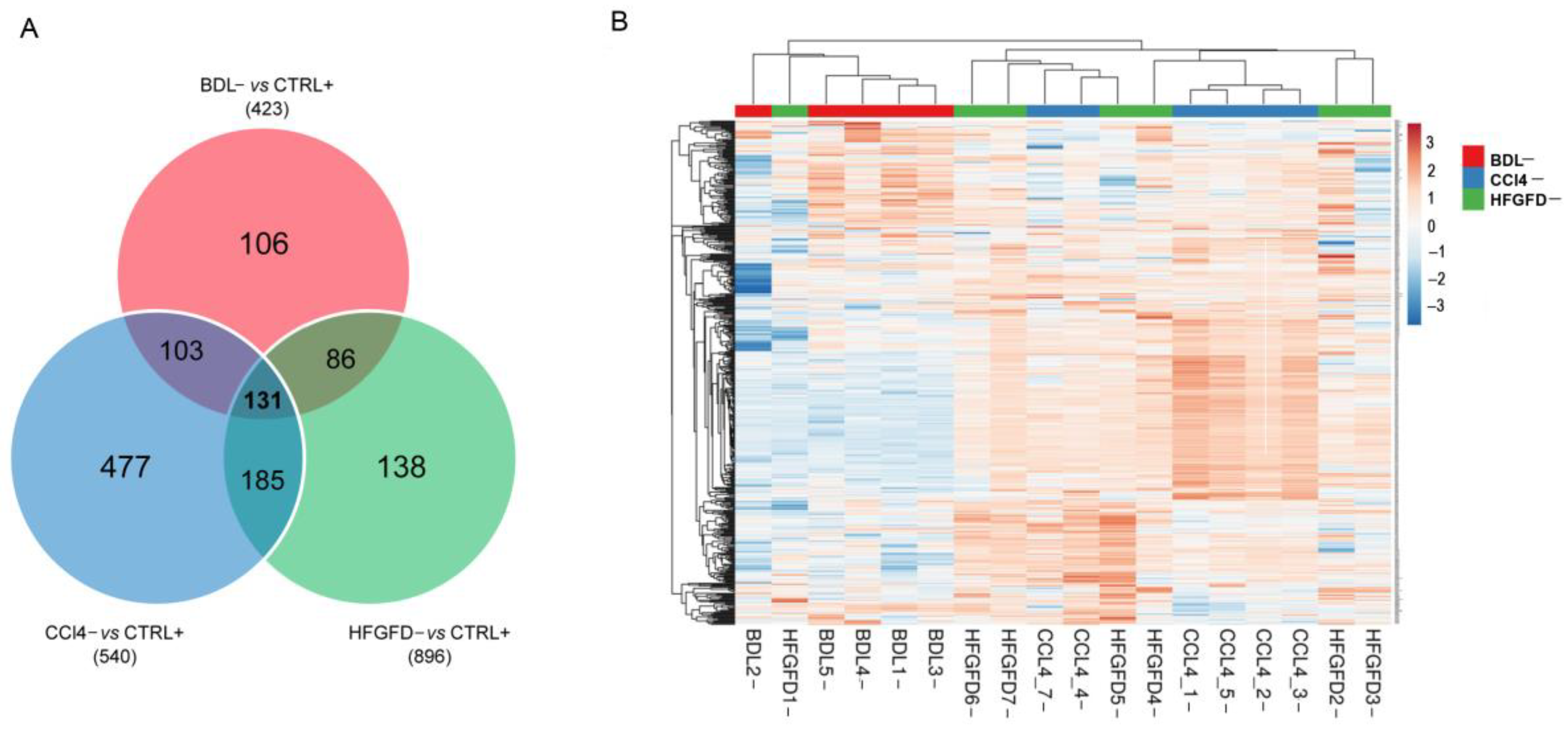 Ijms 24 11904 g003 Ijms 24 11904 g003