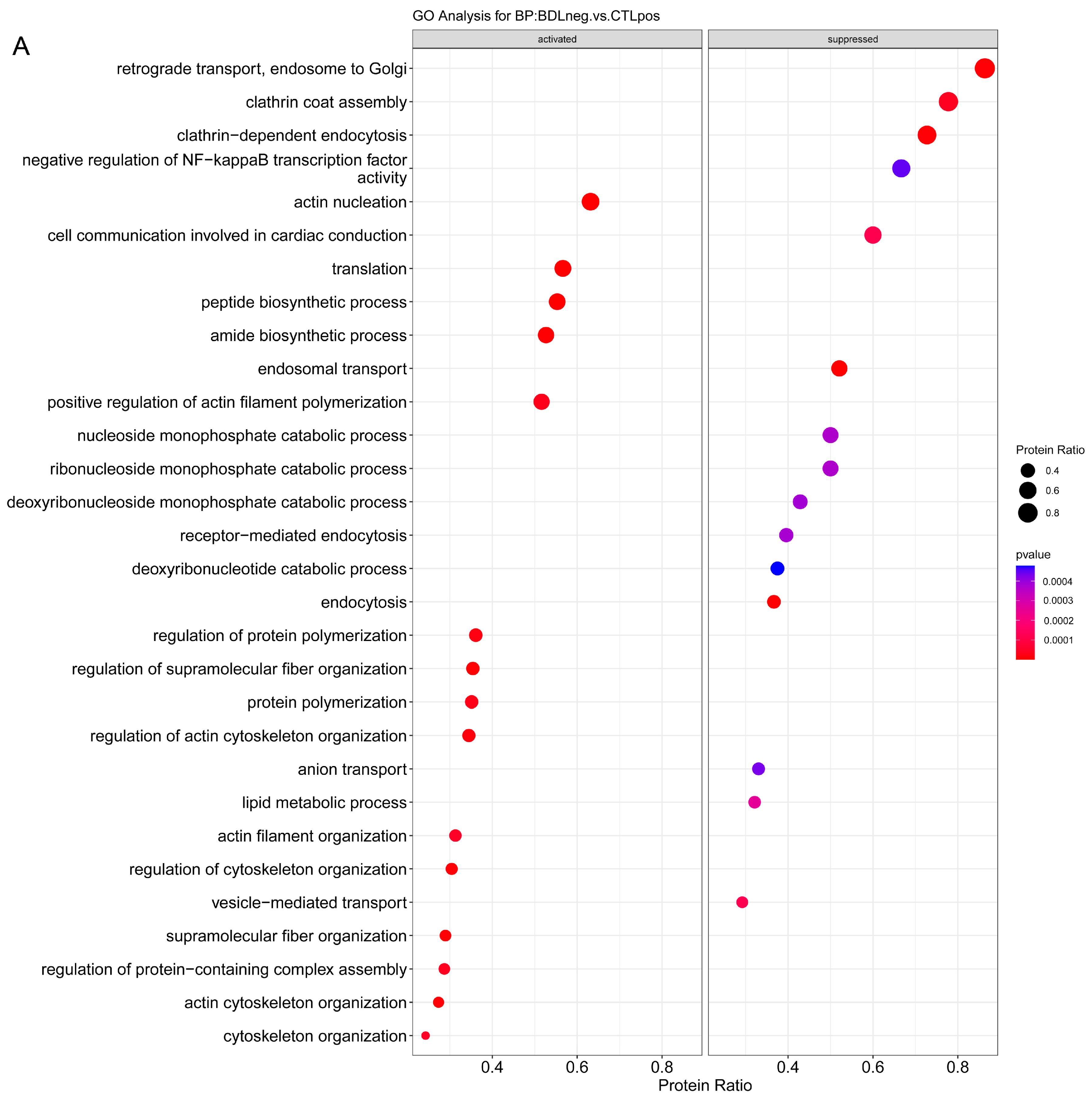 Ijms 24 11904 g004a Ijms 24 11904 g004a