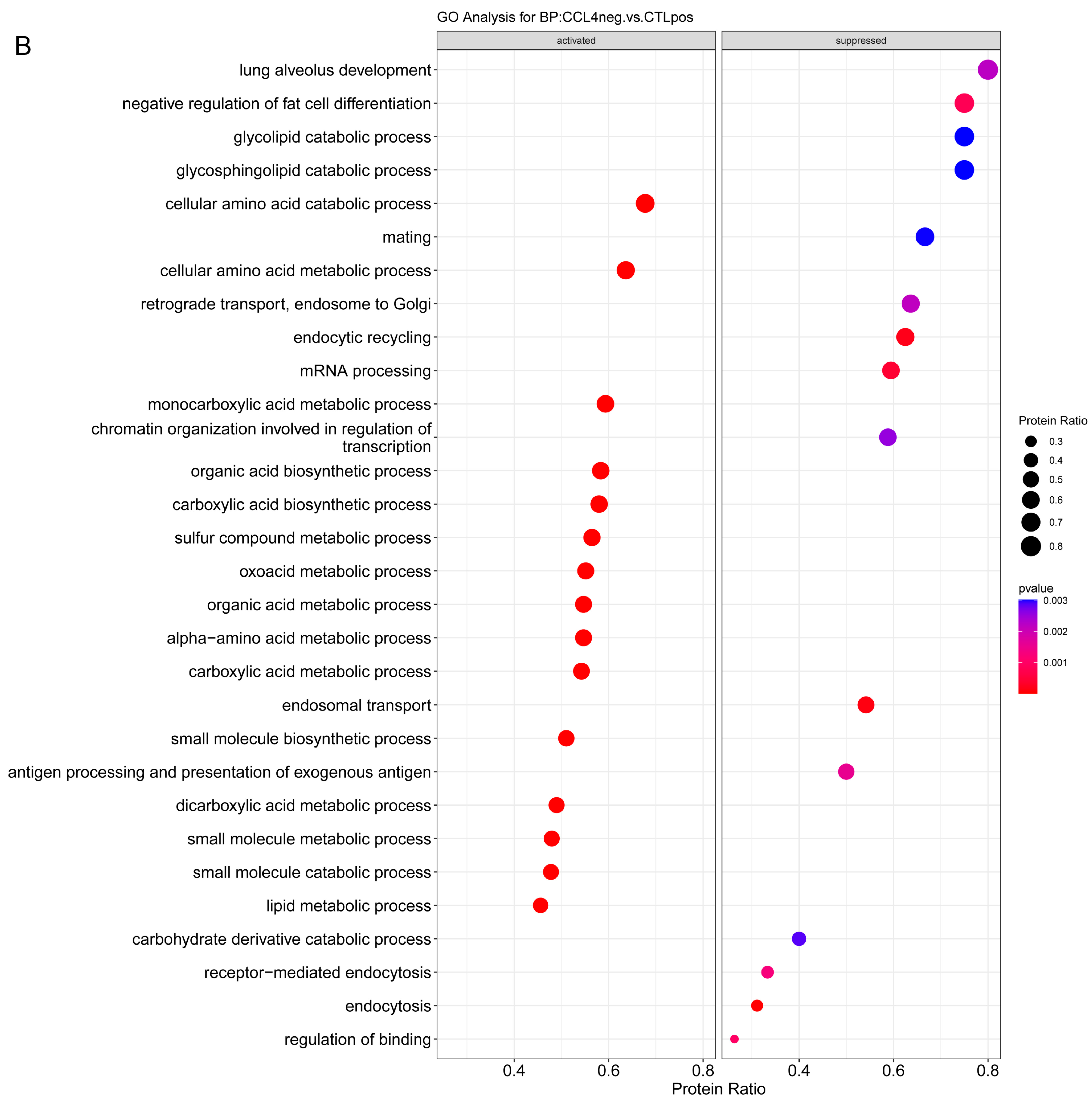 Ijms 24 11904 g004b Ijms 24 11904 g004b