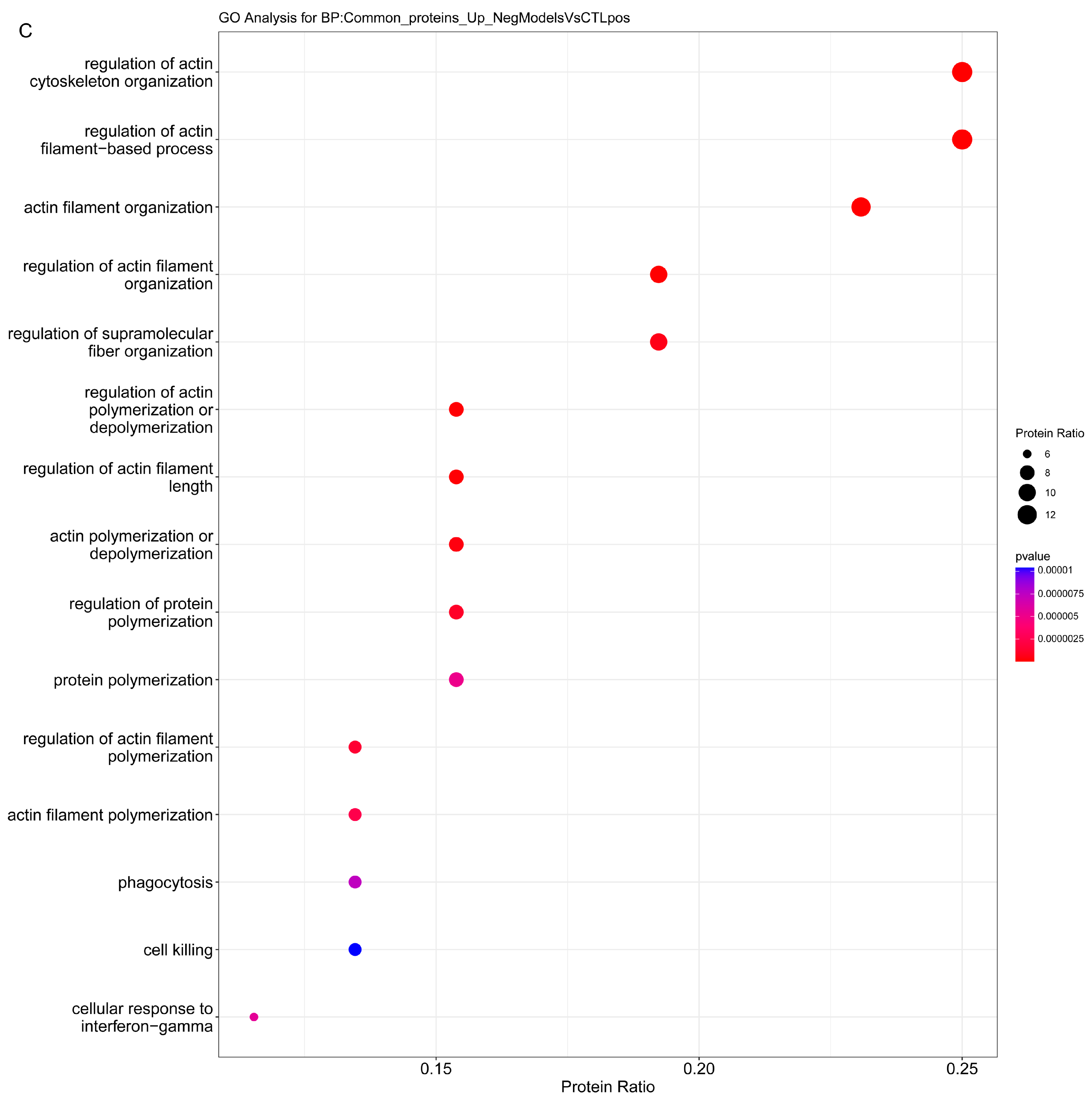 Ijms 24 11904 g005b Ijms 24 11904 g005b