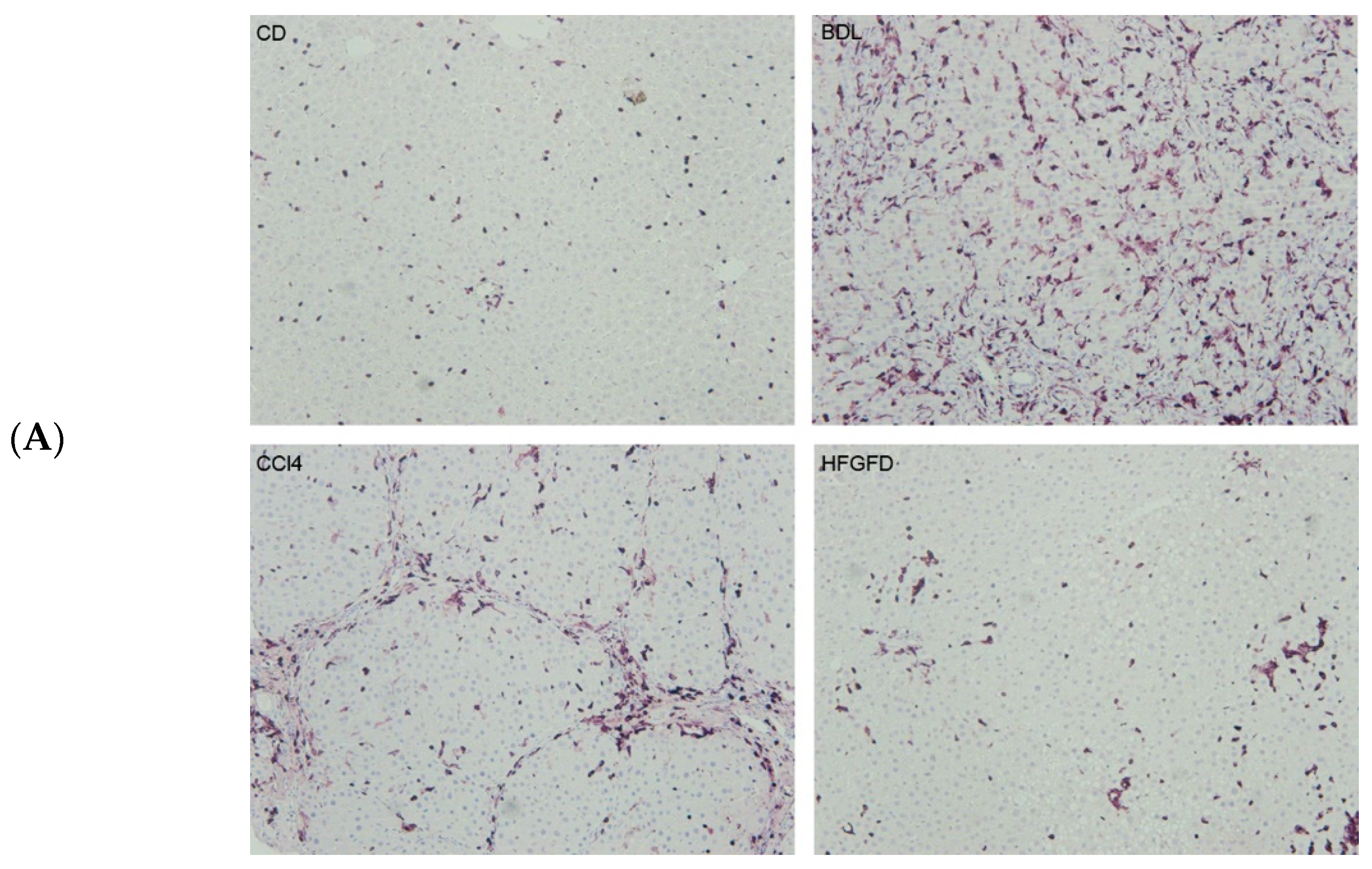 Ijms 24 11904 g006a Ijms 24 11904 g006a