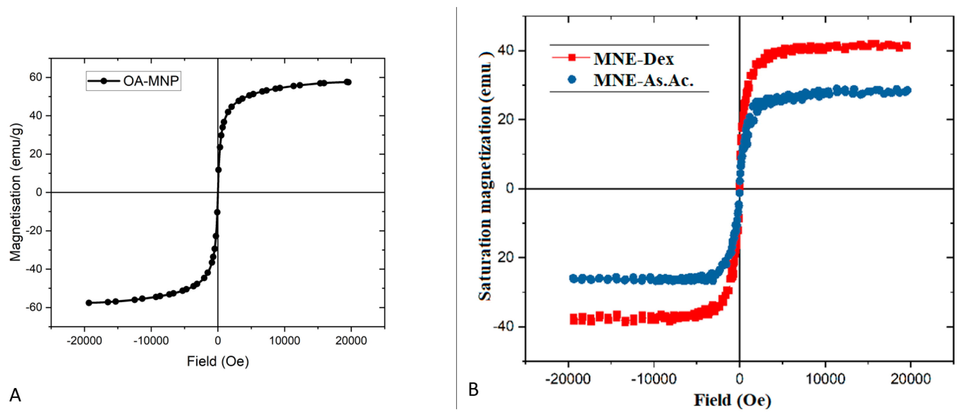 Ijms 24 11916 g001 Ijms 24 11916 g001