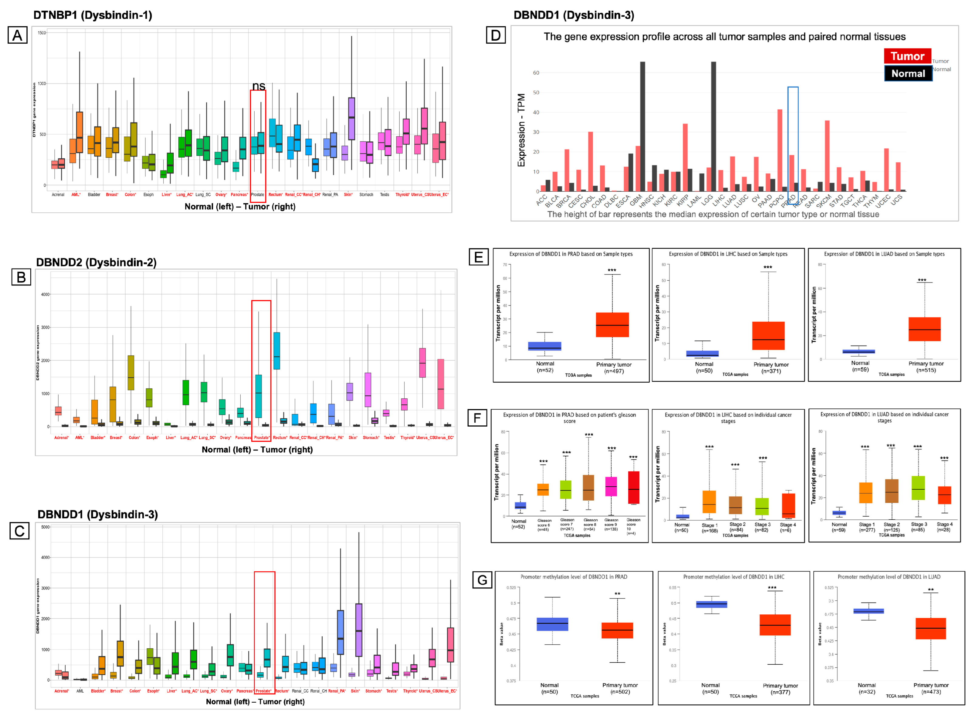 Ijms 24 11930 g002 Ijms 24 11930 g002