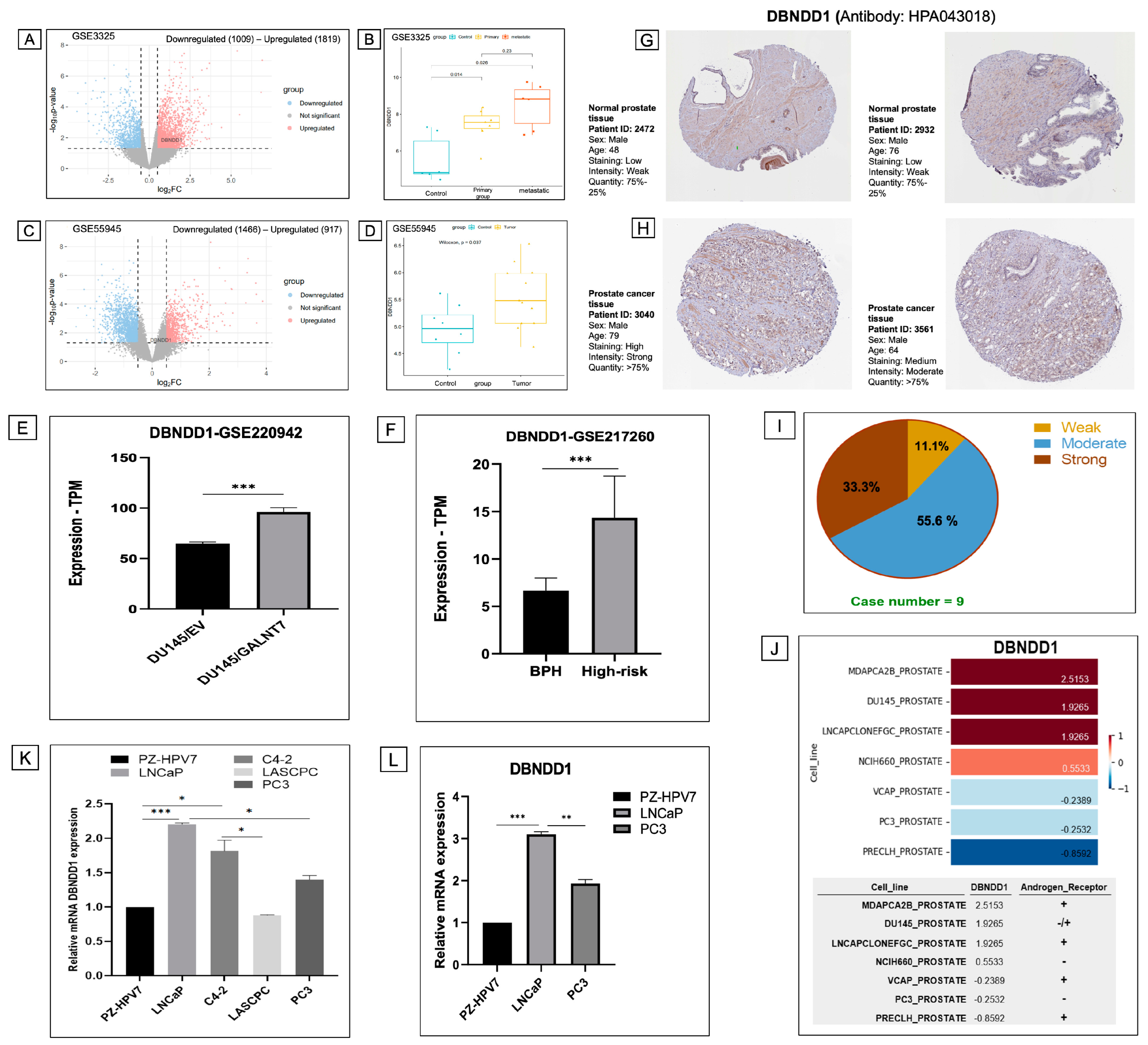 Ijms 24 11930 g004 Ijms 24 11930 g004