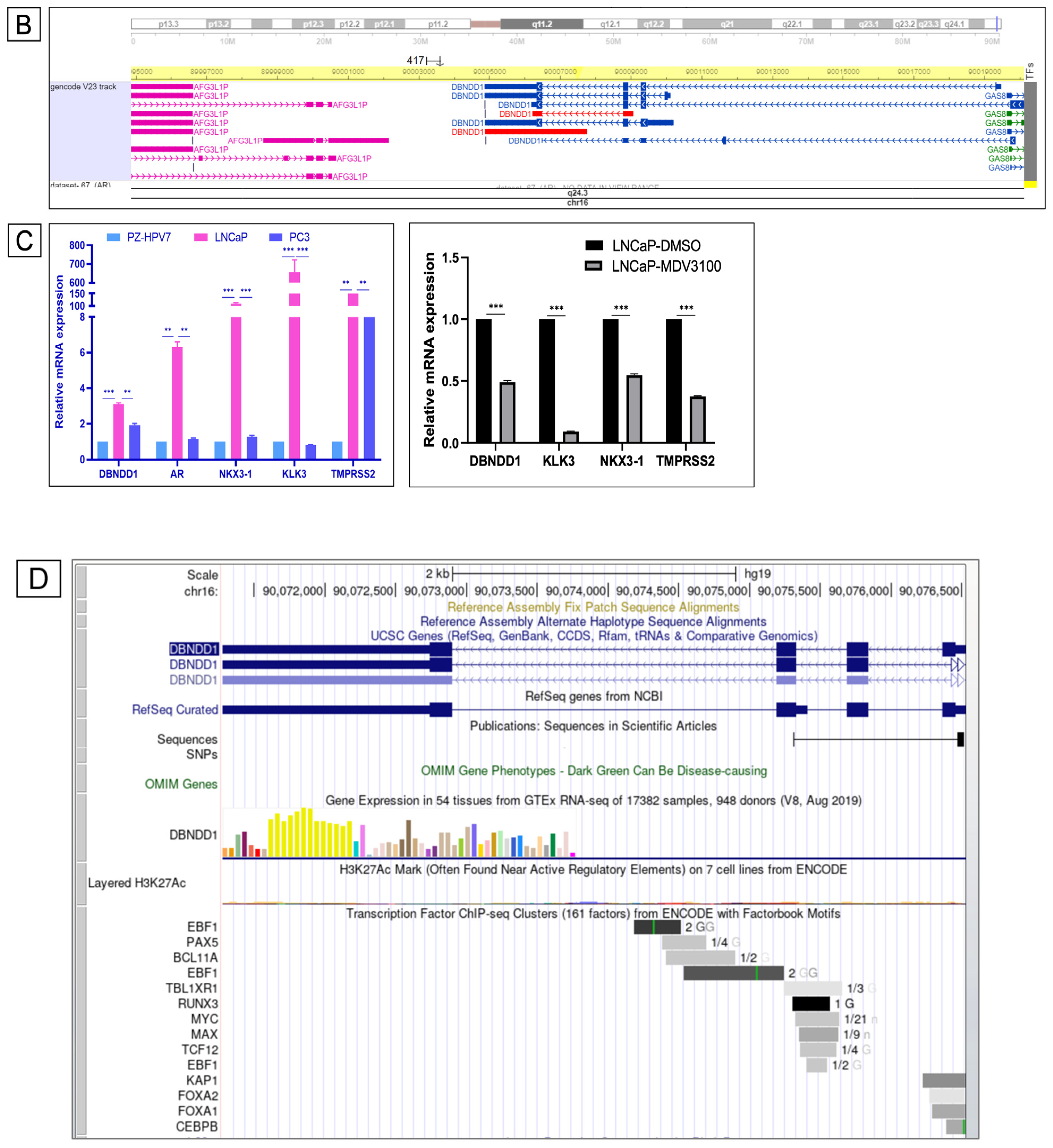 Ijms 24 11930 g006b Ijms 24 11930 g006b