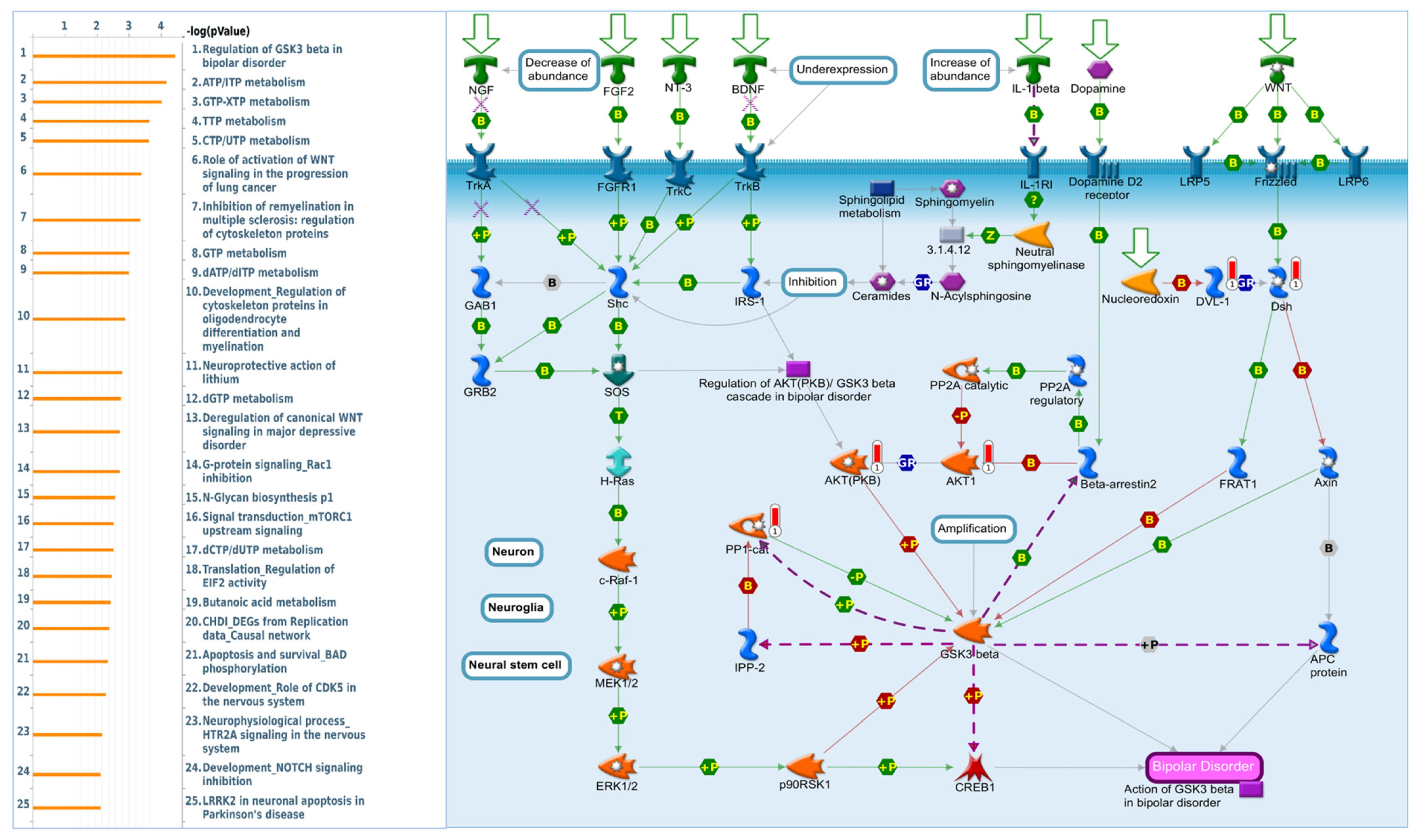 Ijms 24 11930 g008 Ijms 24 11930 g008