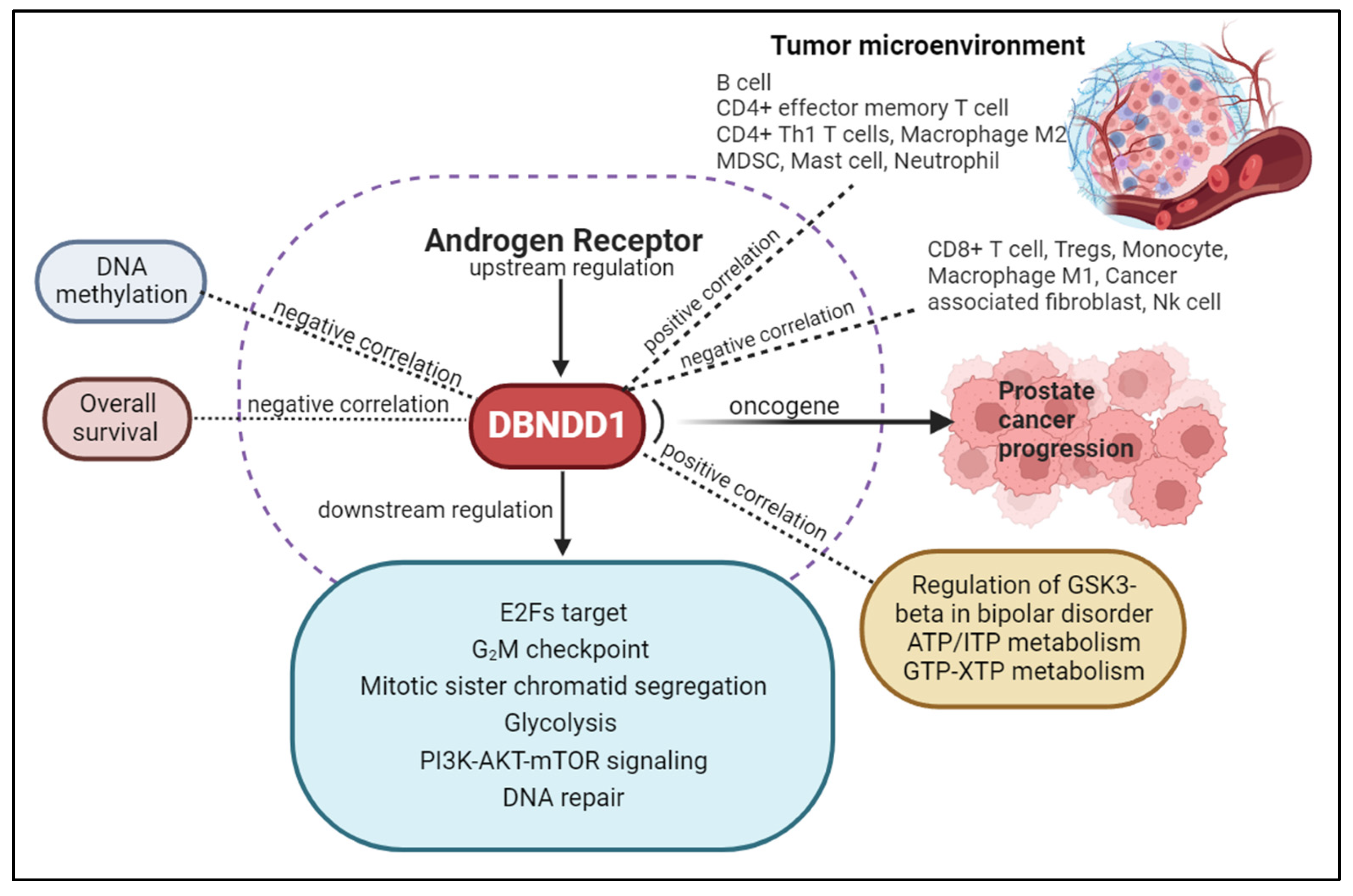 Ijms 24 11930 g010 Ijms 24 11930 g010