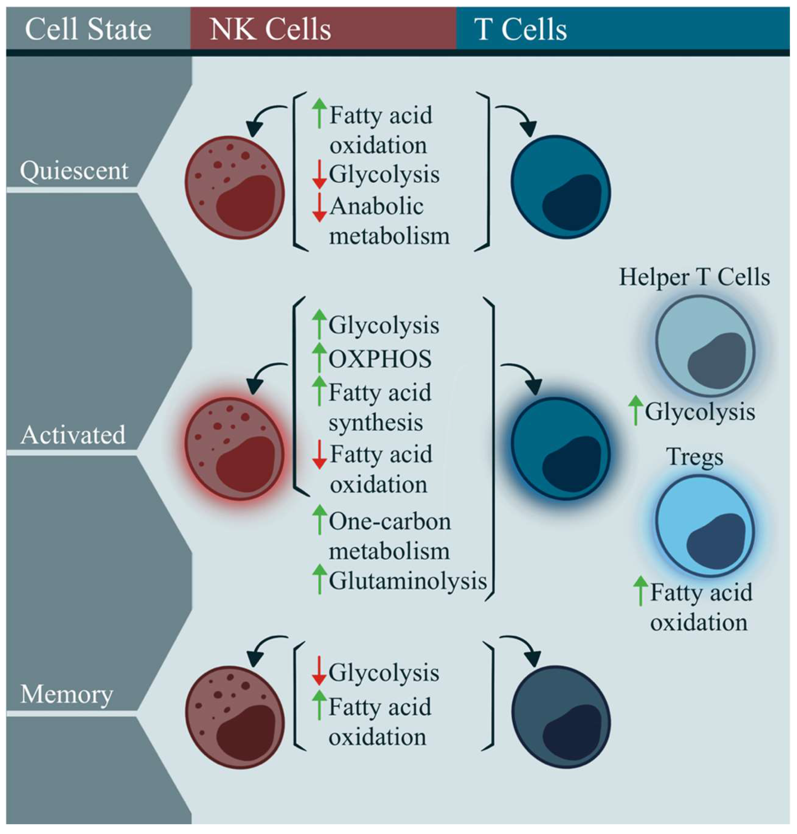 Ijms 24 11937 g002 Ijms 24 11937 g002