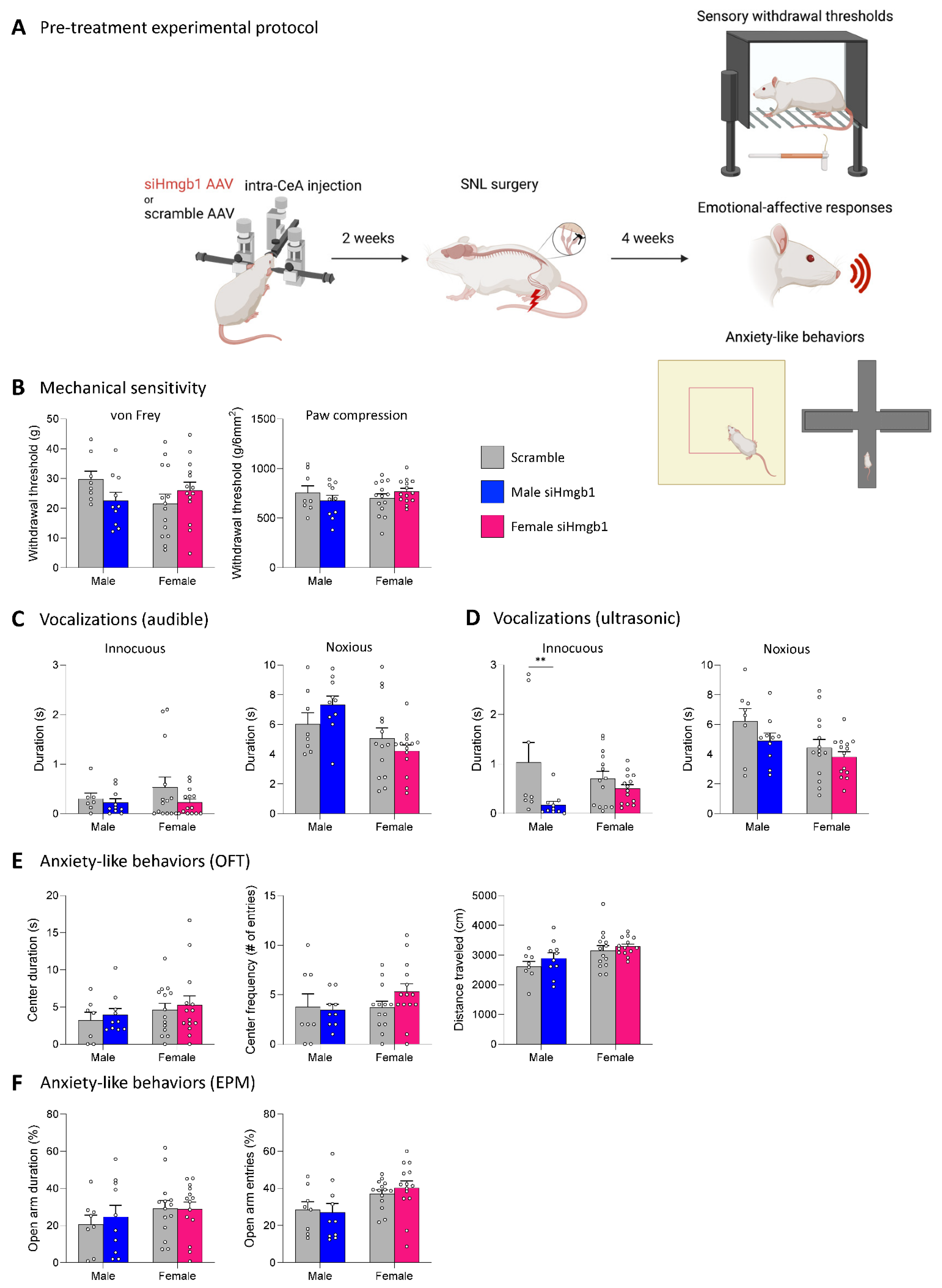 Ijms 24 11944 g004 Ijms 24 11944 g004