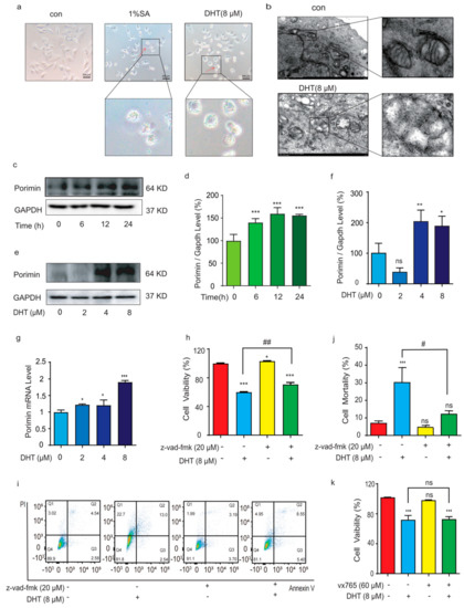Dihydrotanshinone Triggers Porimin-Dependent Oncosis by ROS