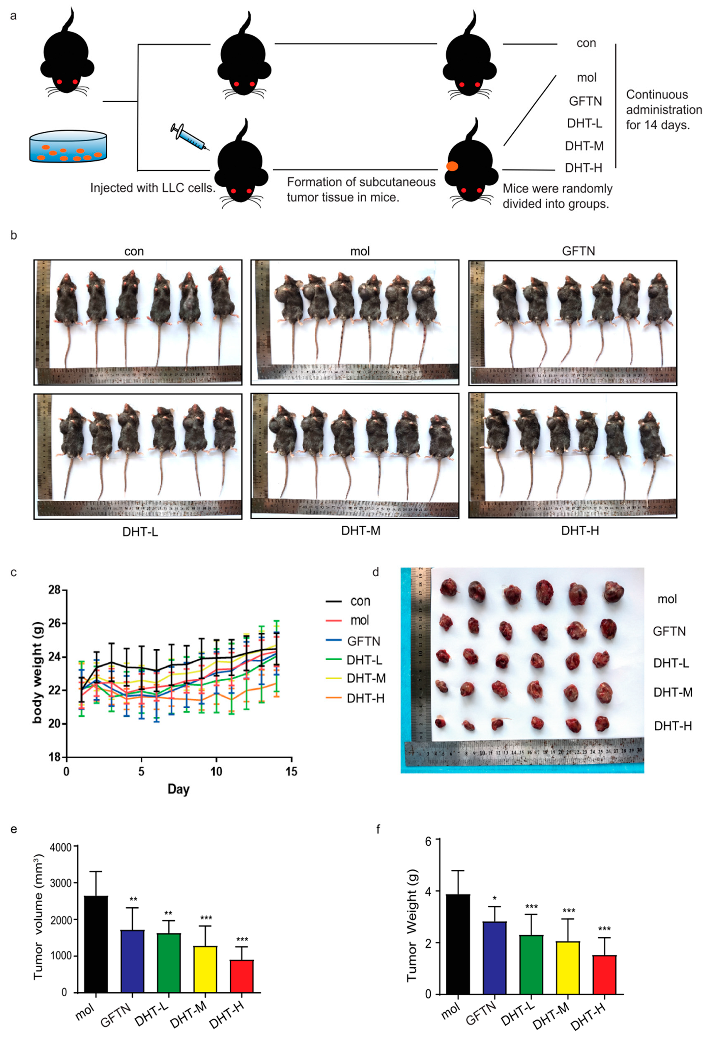 Ijms 24 11953 g005 Ijms 24 11953 g005