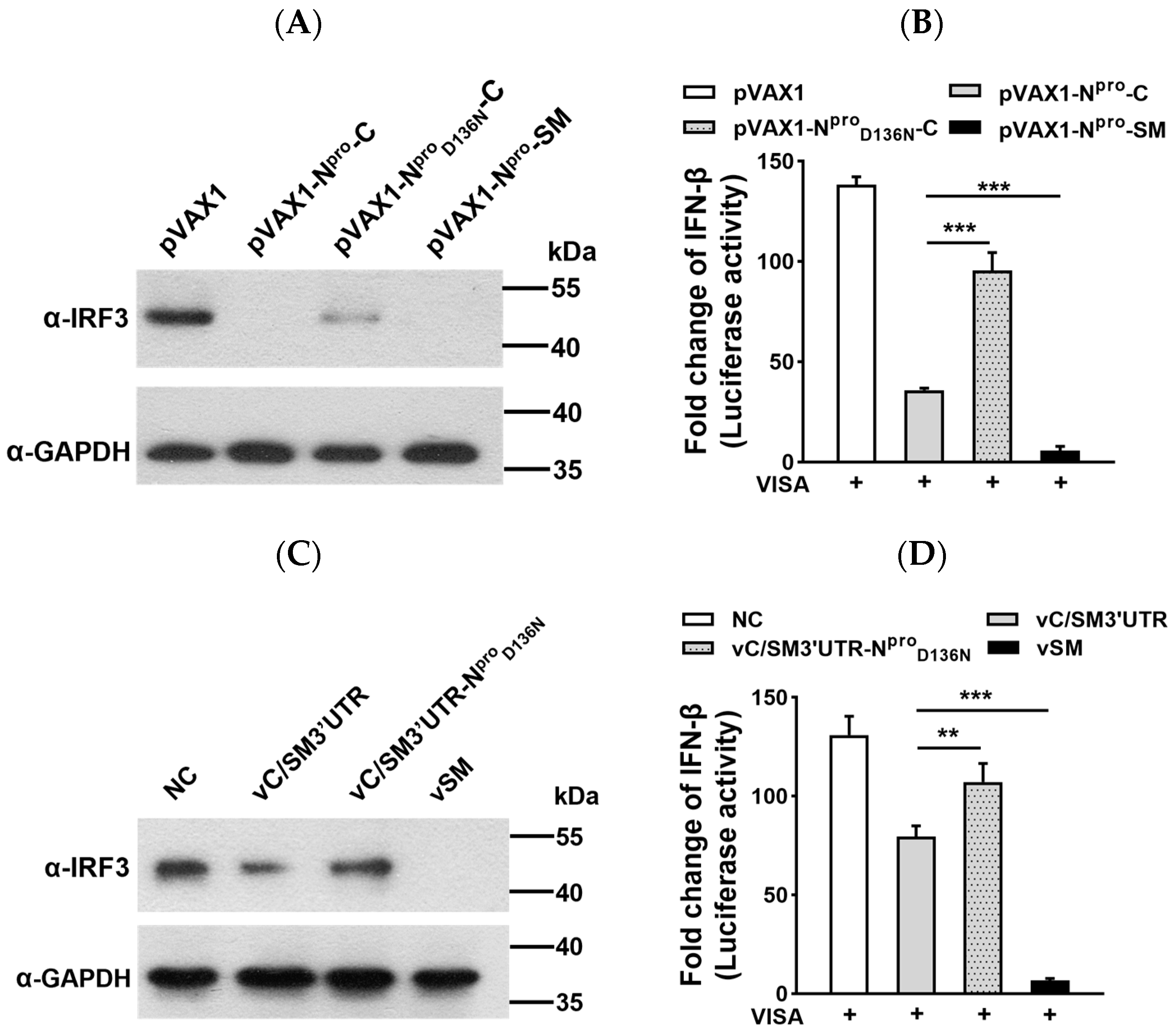 Ijms 24 11954 g001 Ijms 24 11954 g001