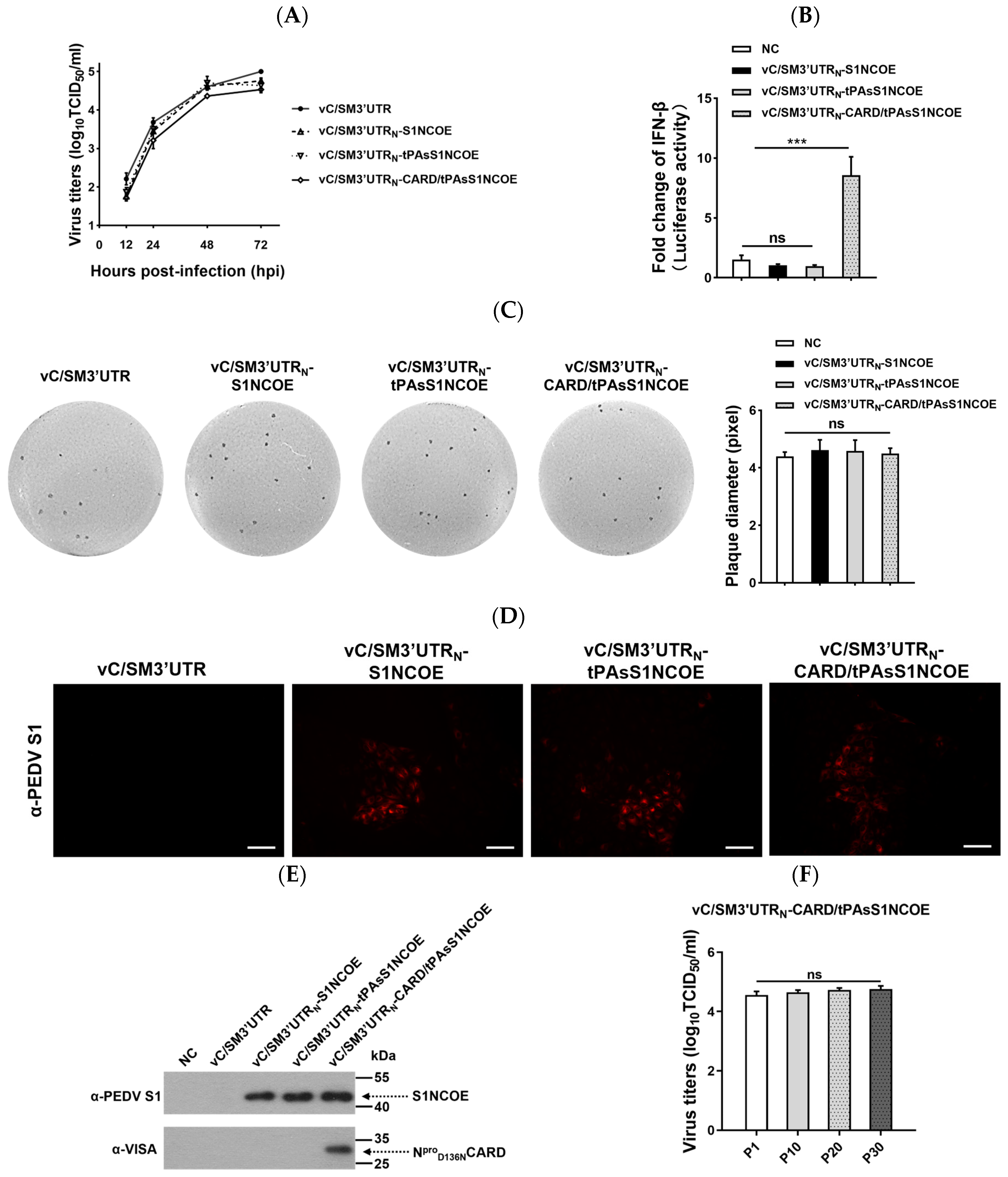 Ijms 24 11954 g004 Ijms 24 11954 g004