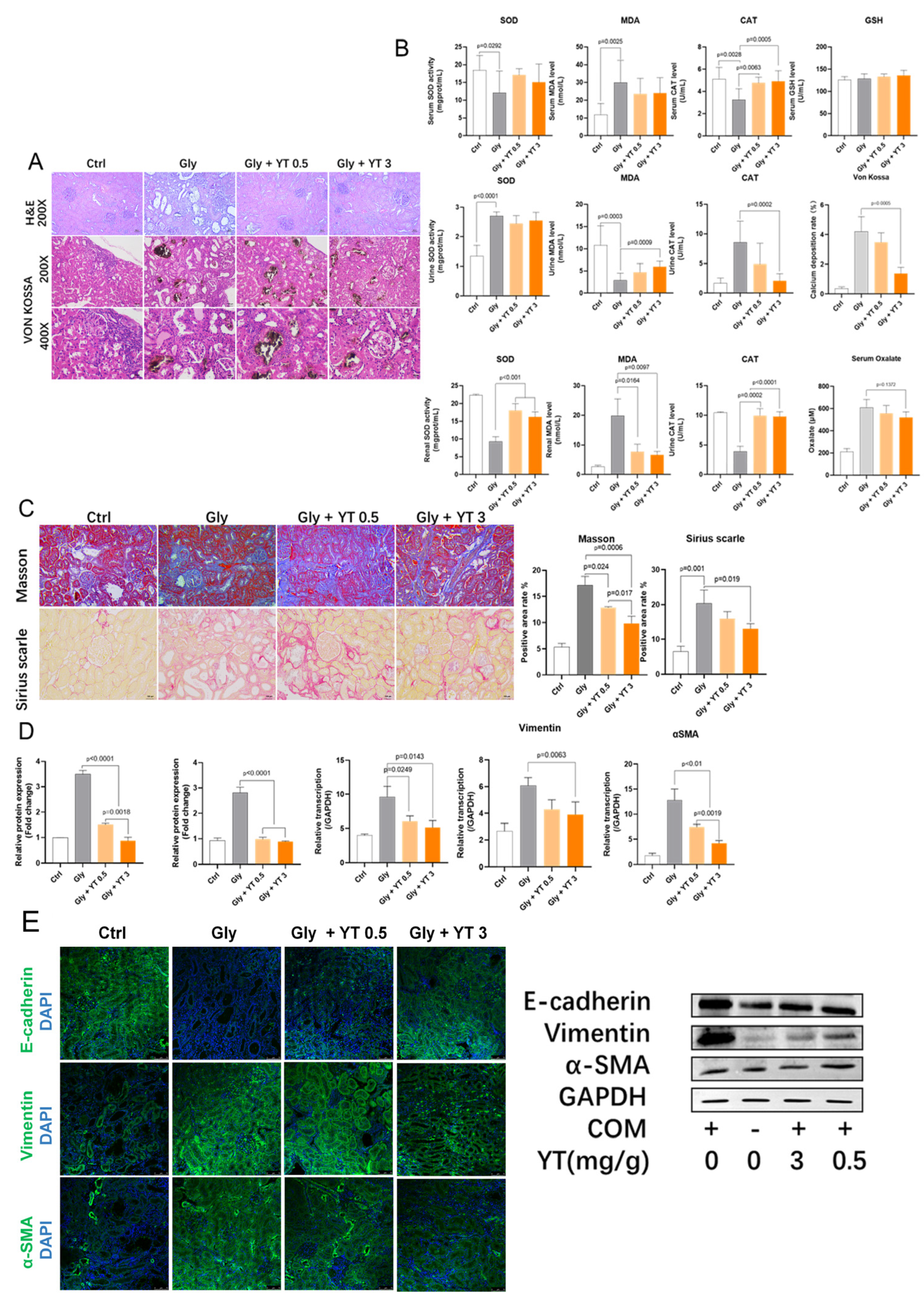 Ijms 24 11955 g001 Ijms 24 11955 g001