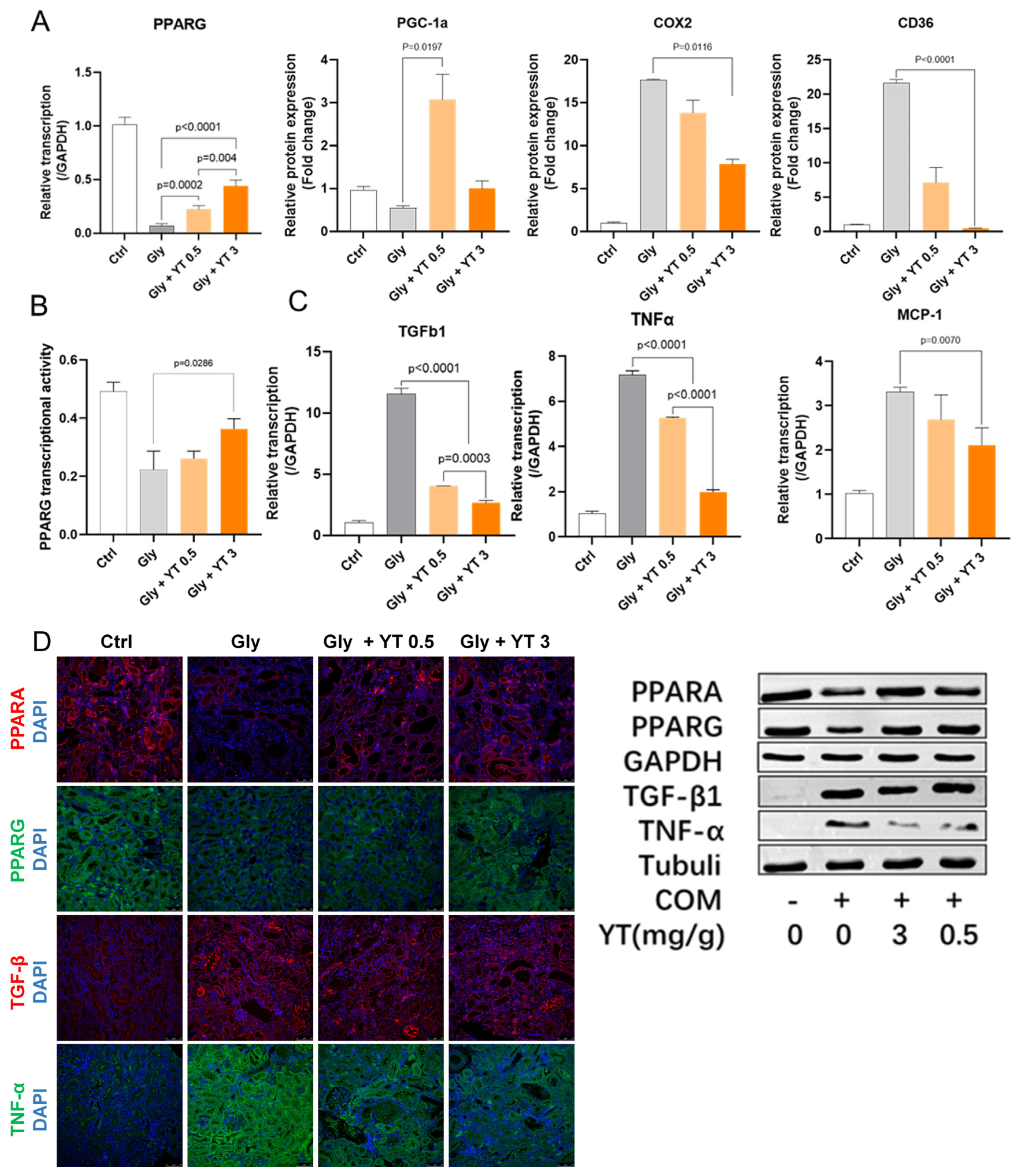 Ijms 24 11955 g004 Ijms 24 11955 g004