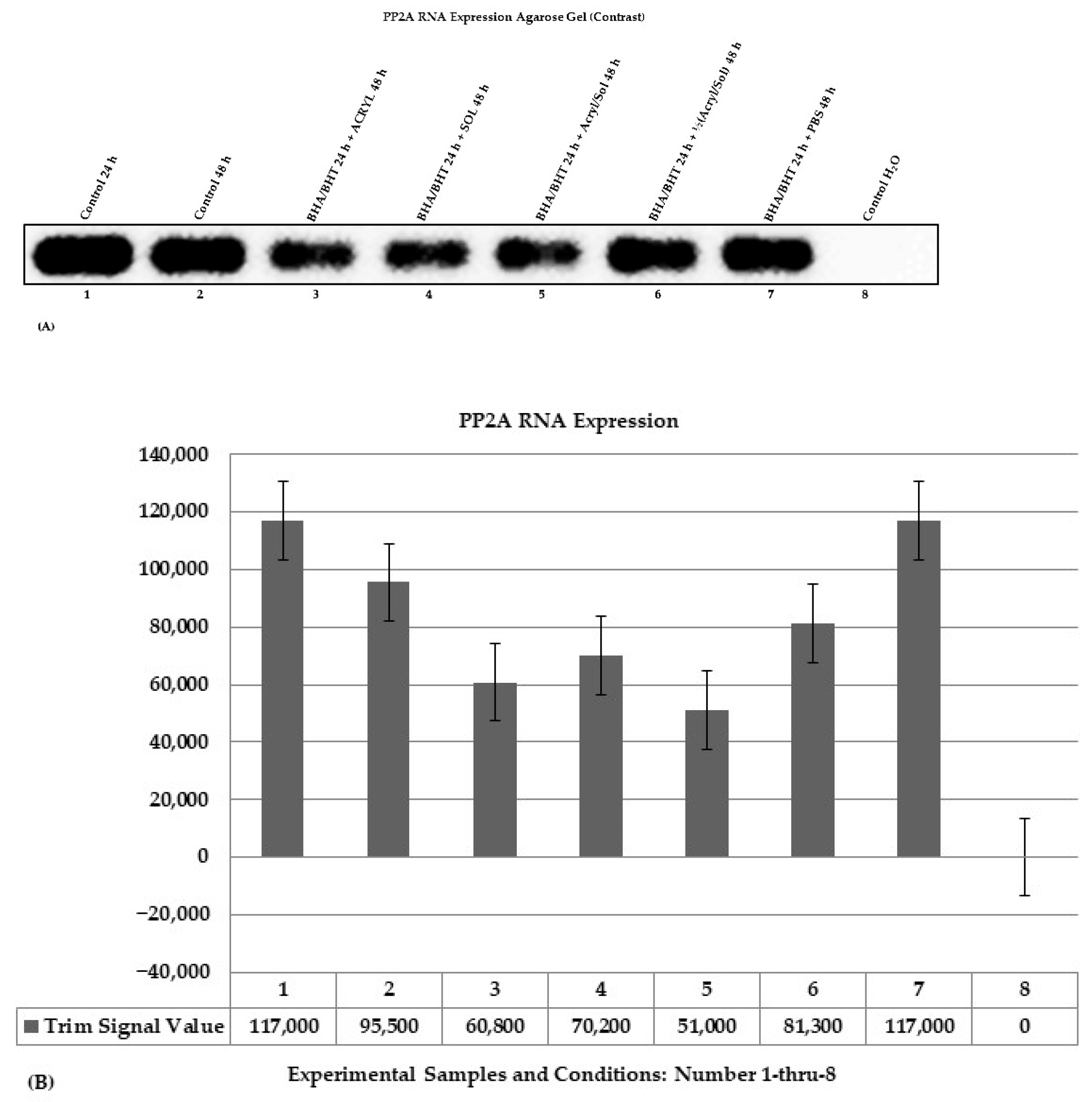 Ijms 24 11956 g004 Ijms 24 11956 g004