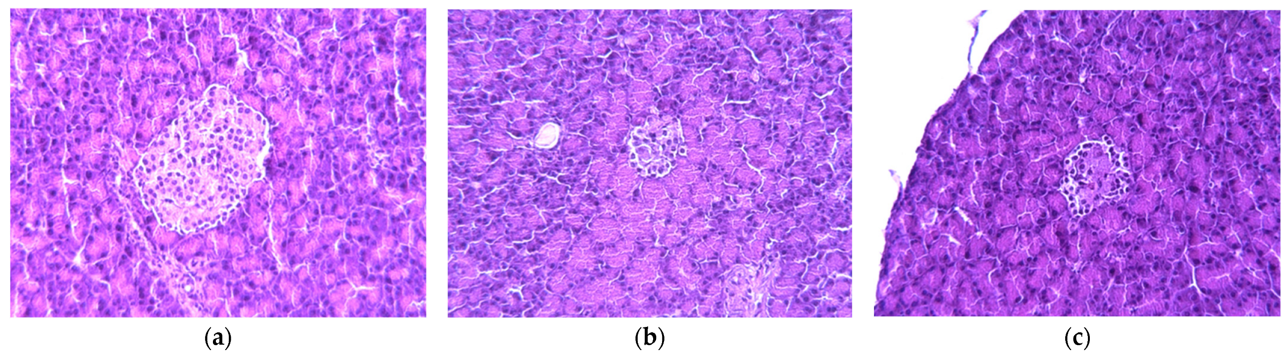 Ijms 24 11962 g003 Ijms 24 11962 g003