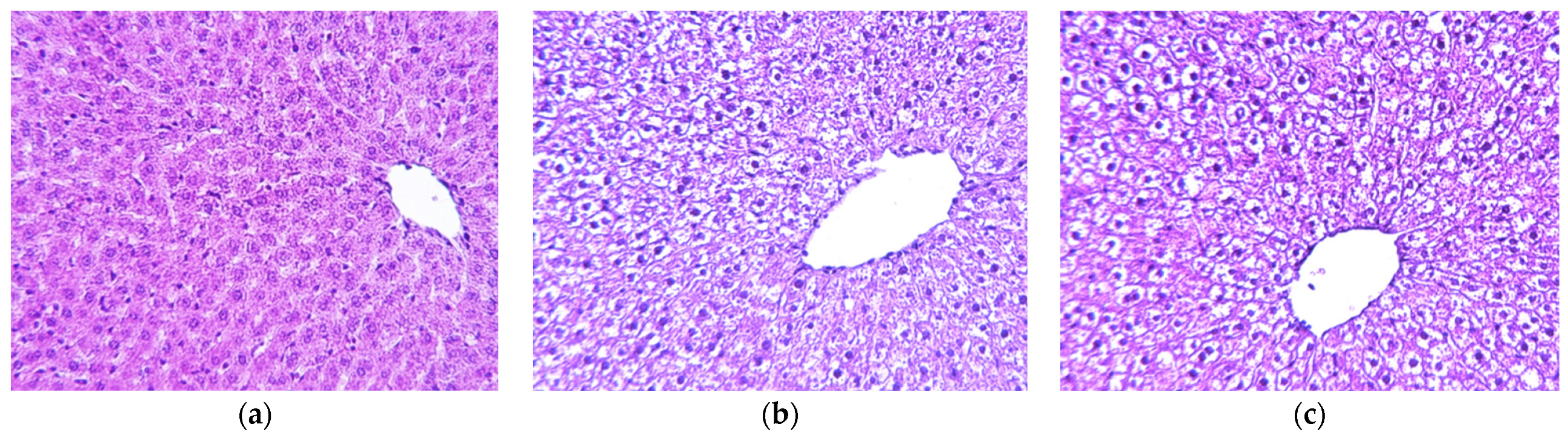 Ijms 24 11962 g004 Ijms 24 11962 g004