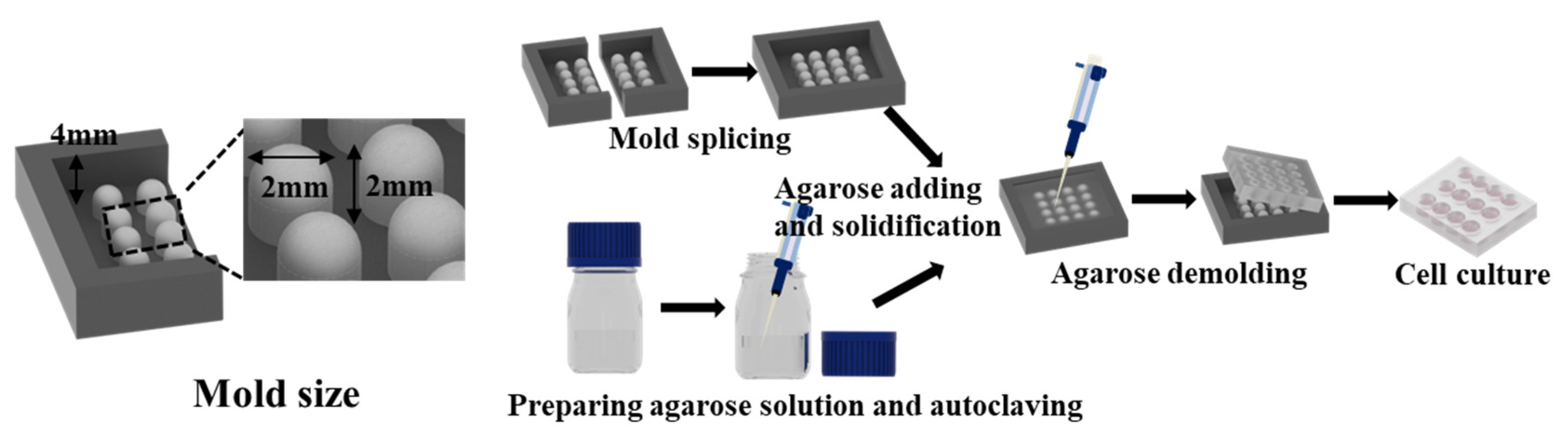 Ijms 24 11967 g001 Ijms 24 11967 g001