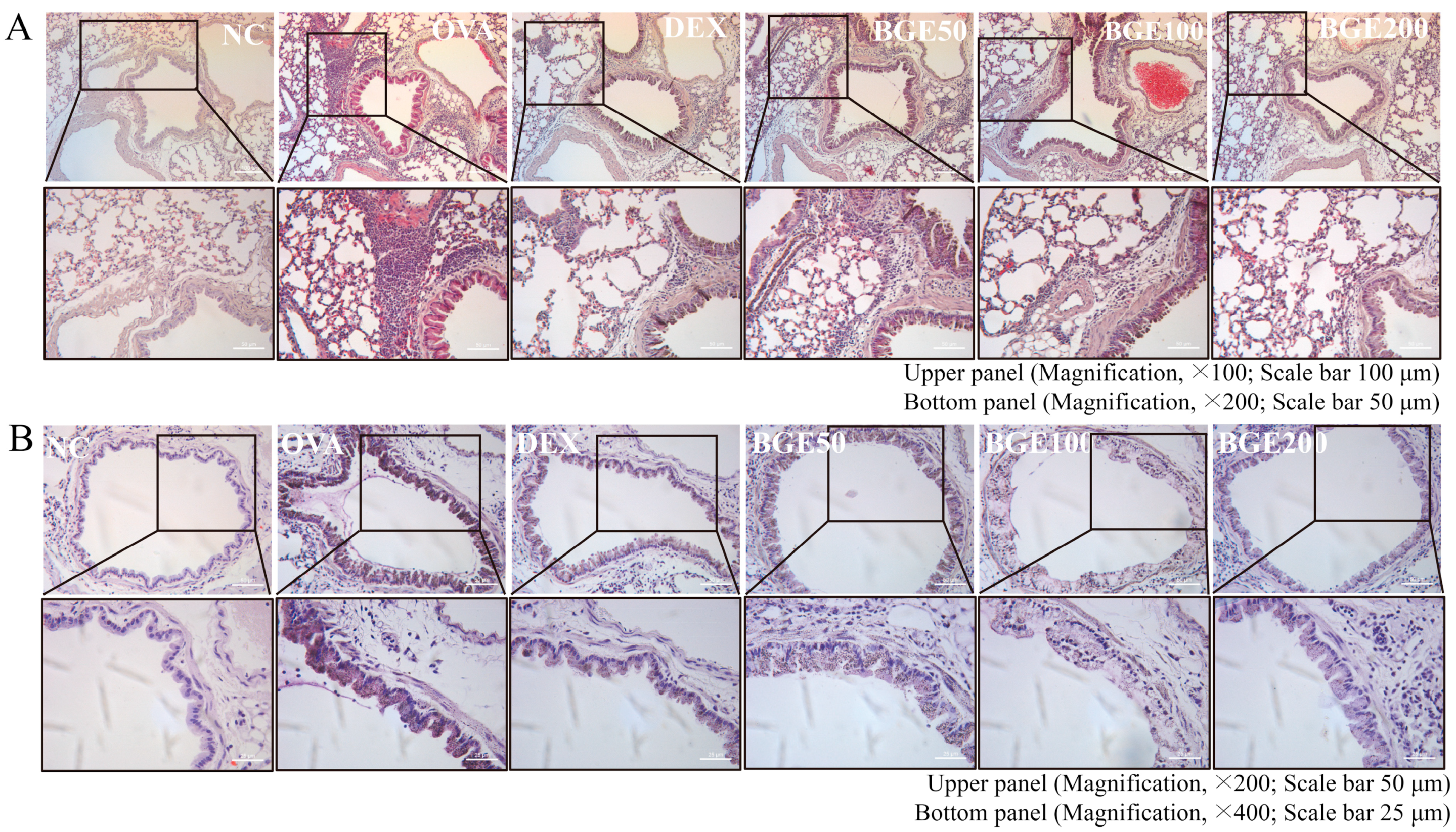 Ijms 24 11970 g003 Ijms 24 11970 g003