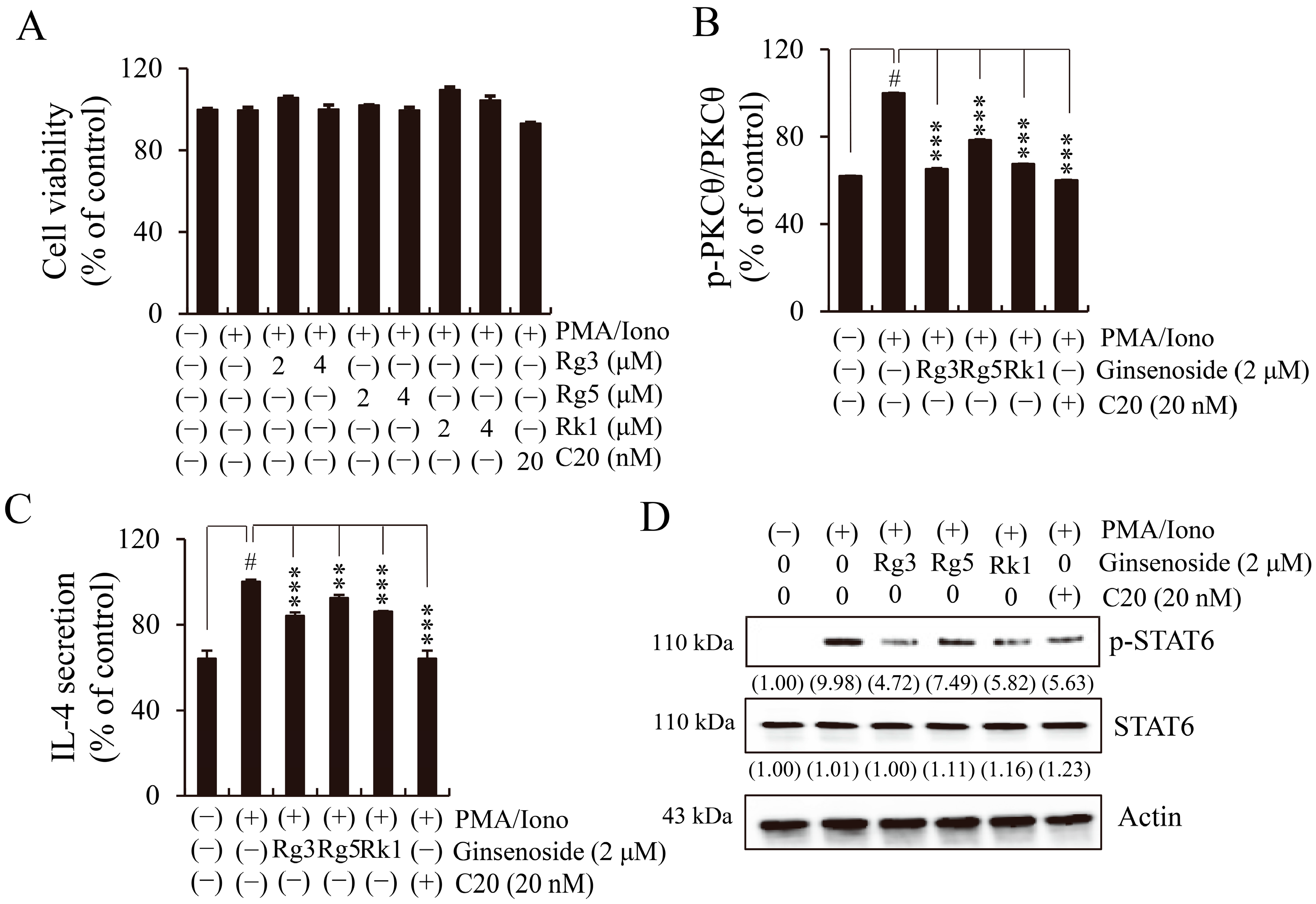 Ijms 24 11970 g006 Ijms 24 11970 g006