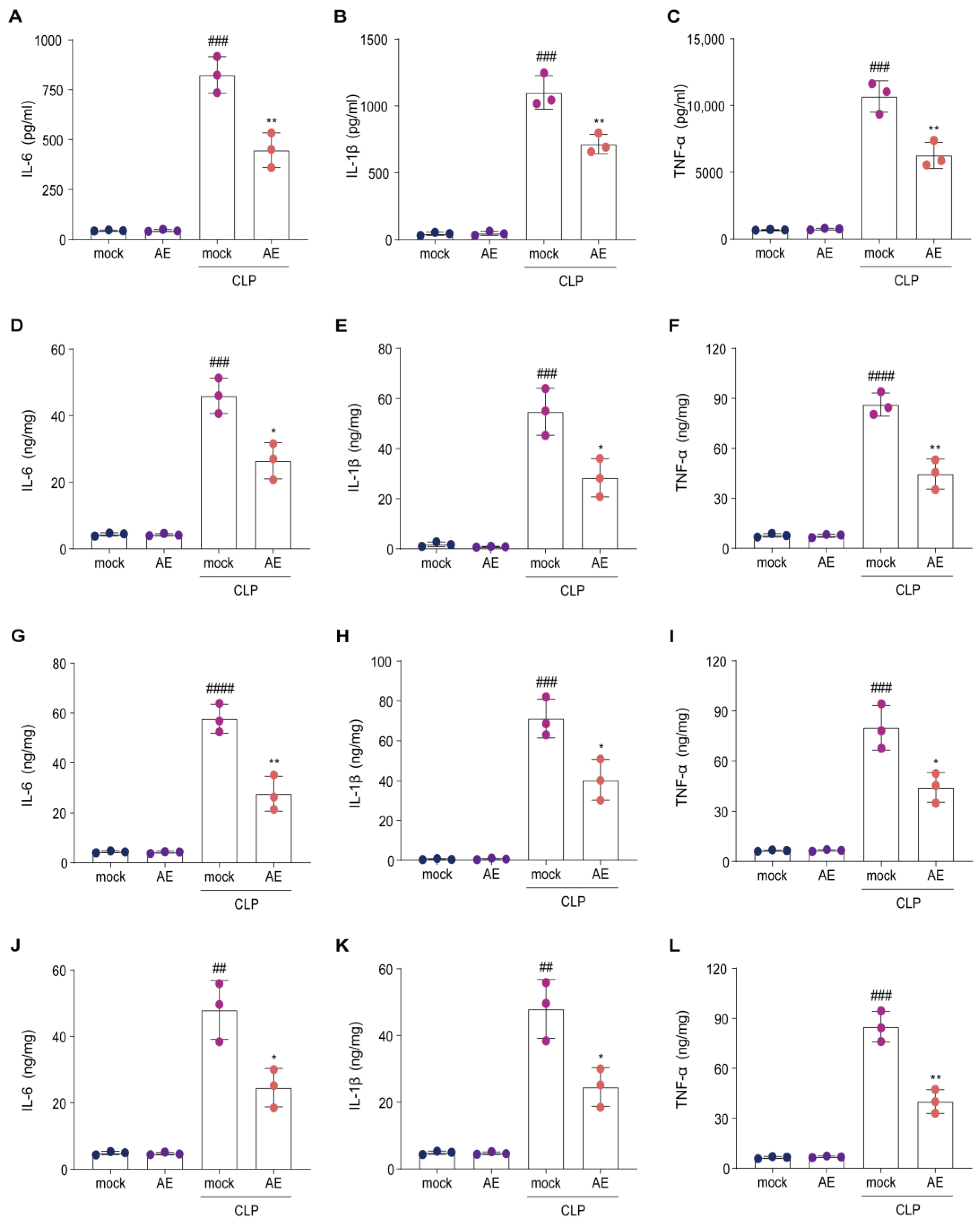 Ijms 24 11972 g004 Ijms 24 11972 g004