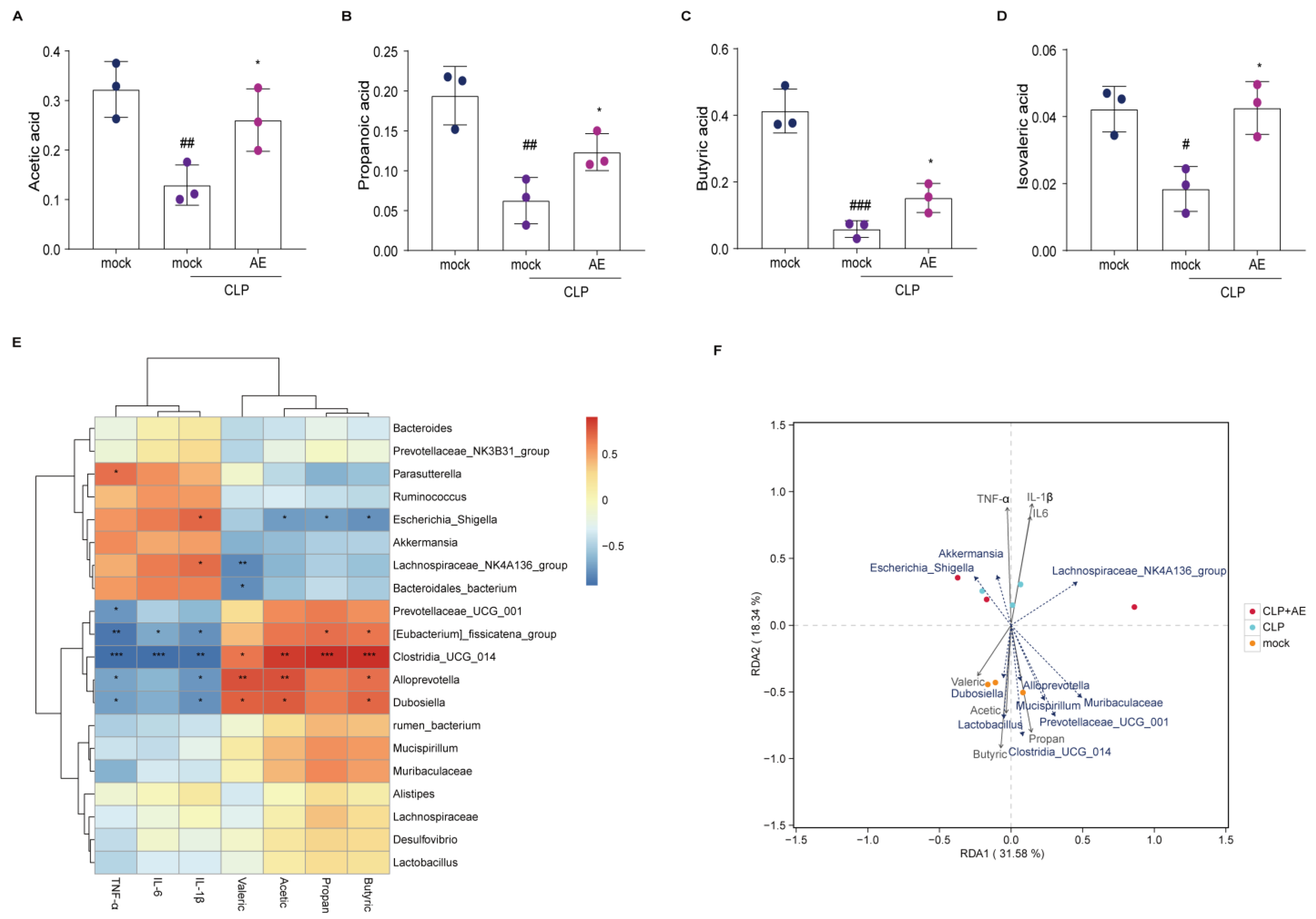 Ijms 24 11972 g010 Ijms 24 11972 g010