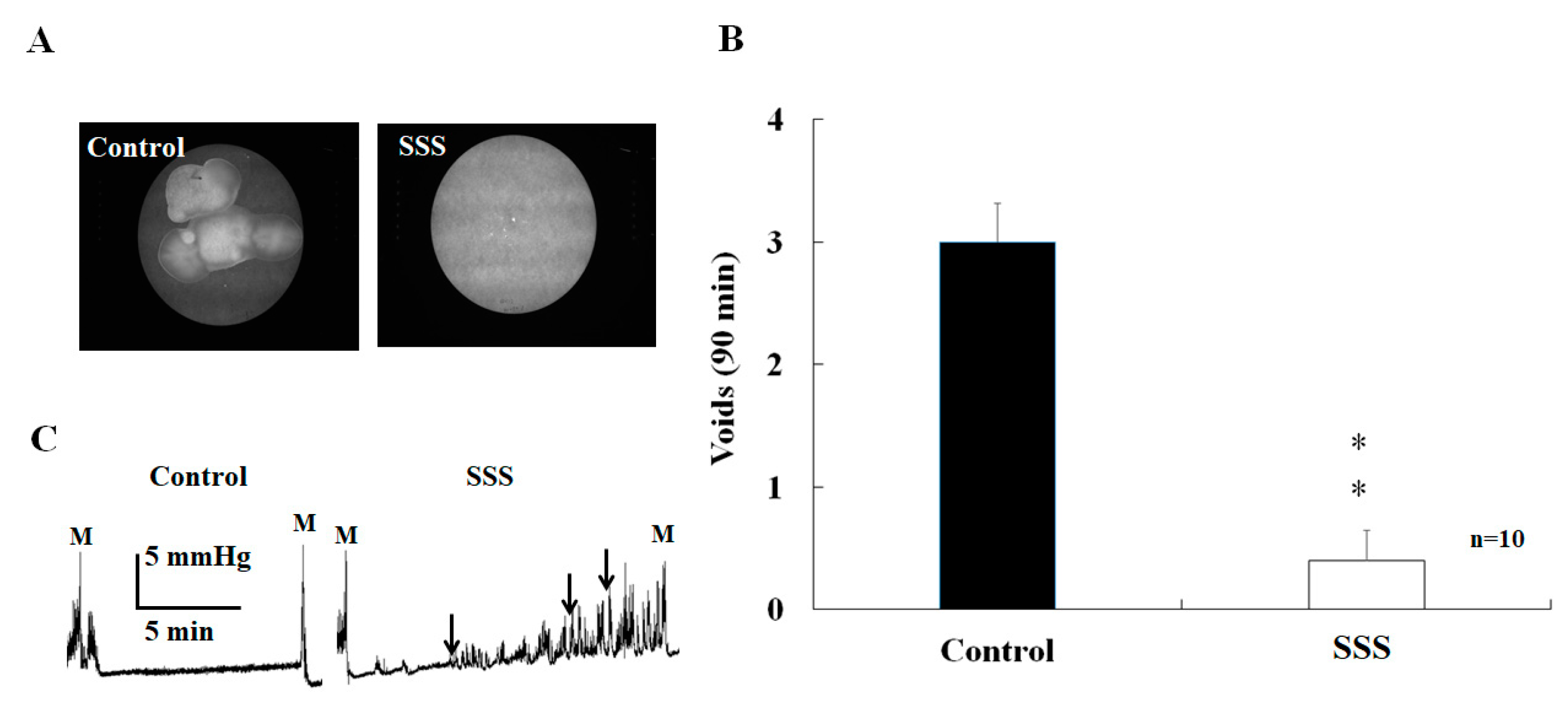 Ijms 24 11973 g001 Ijms 24 11973 g001