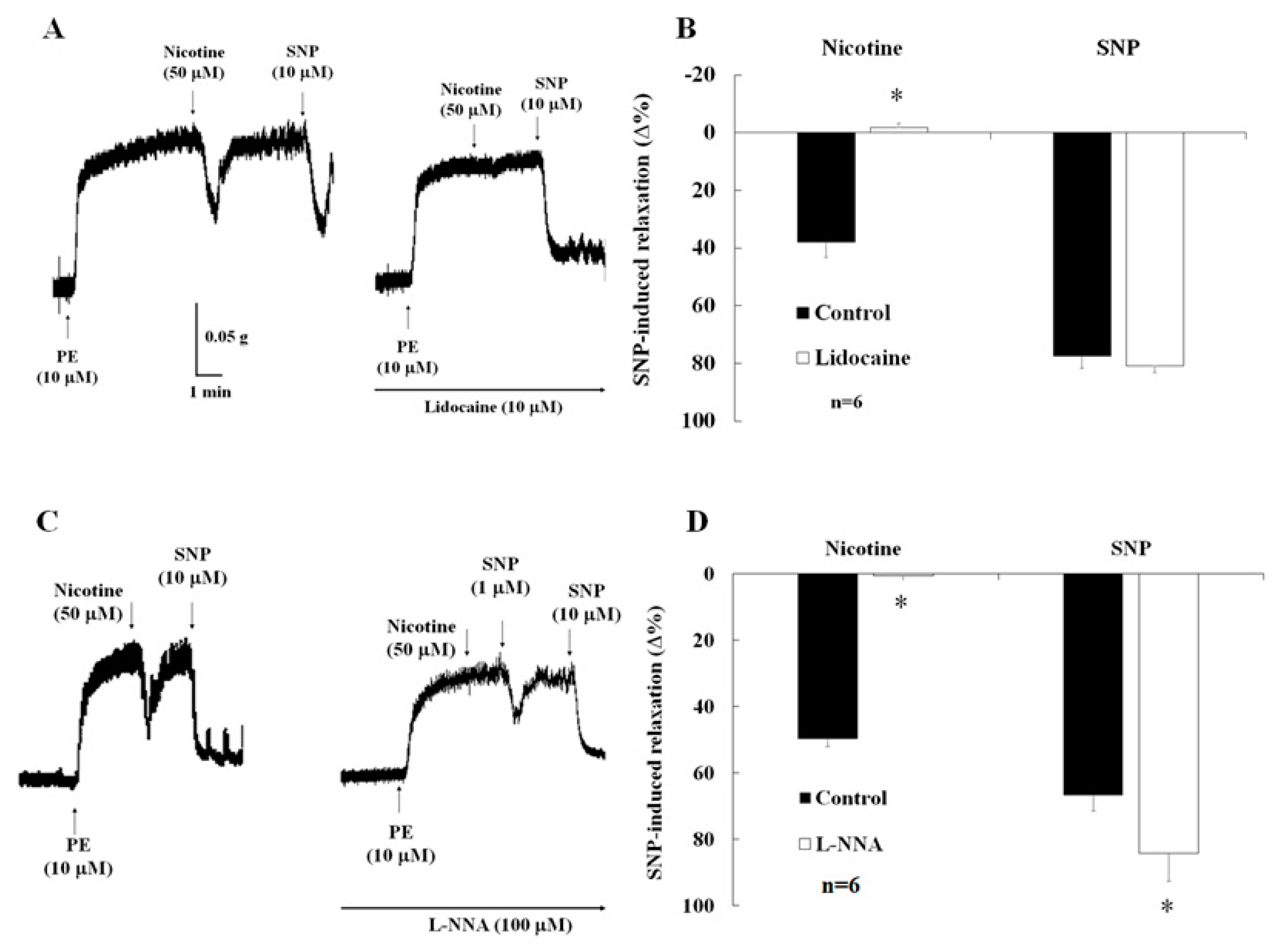 Ijms 24 11973 g004 Ijms 24 11973 g004